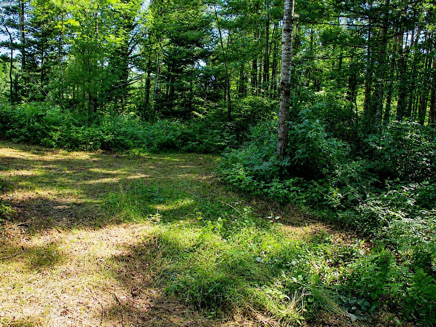 Lot 1 State Road 27/70, Couderay, WI 54828