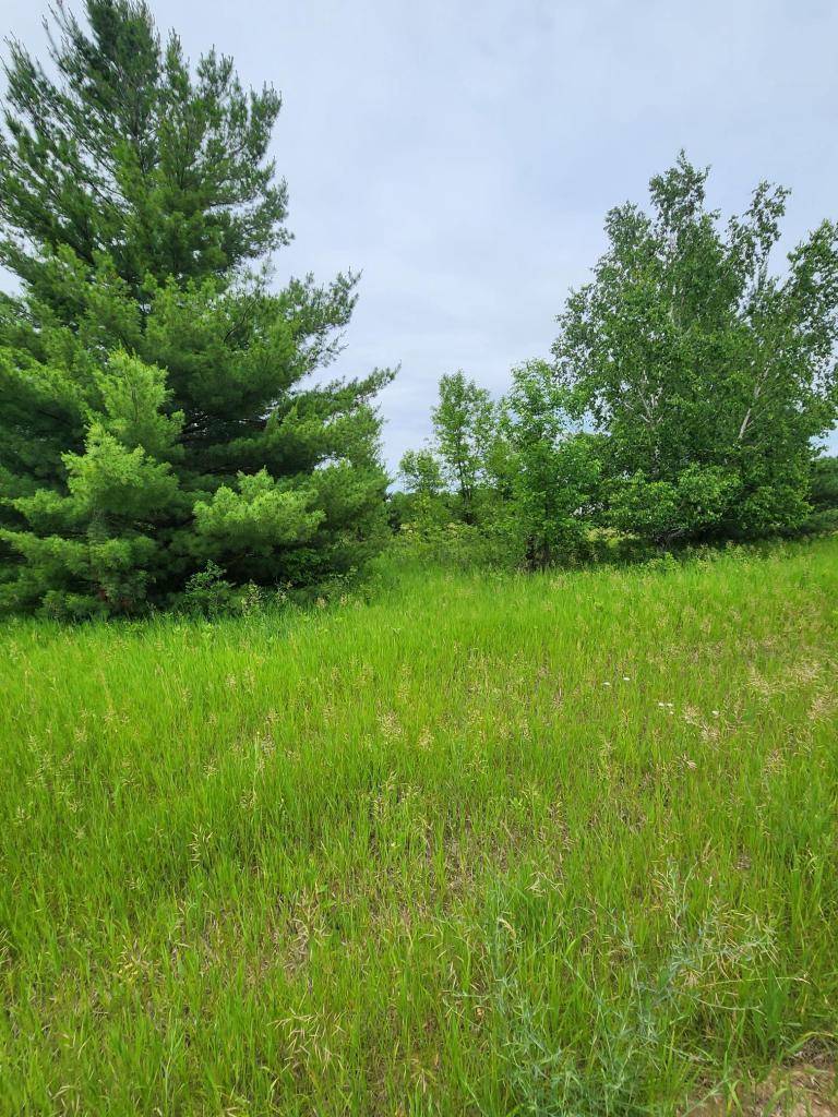 000 392nd street, Moran Twp, MN 56438