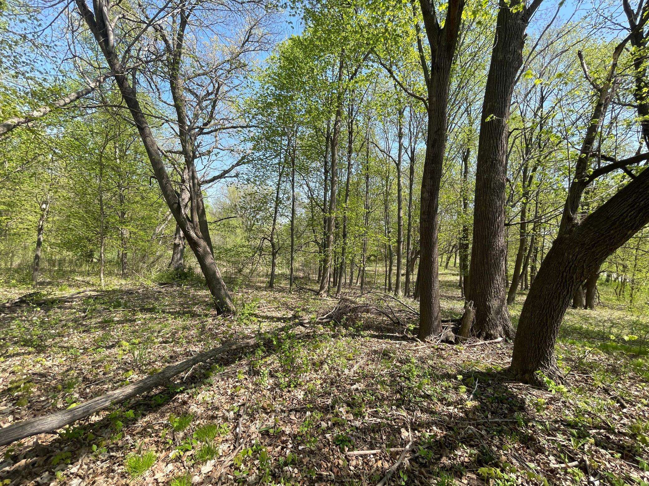 1xx Stark RD, Harris, MN 55032
