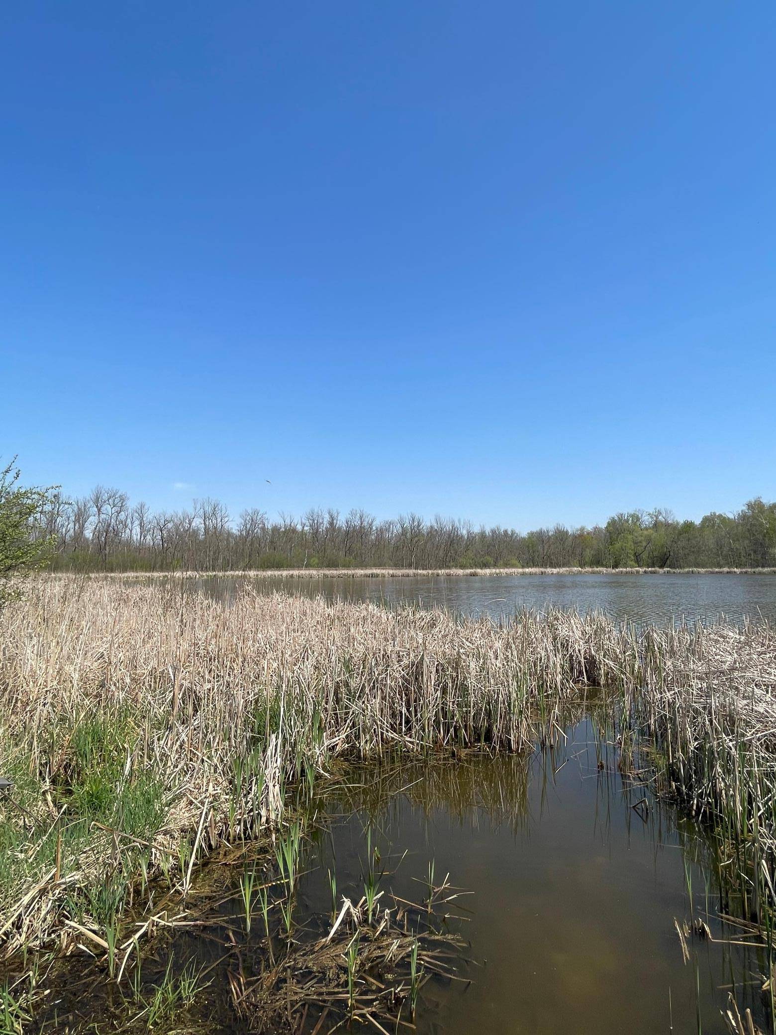 1xx Stark RD, Harris, MN 55032