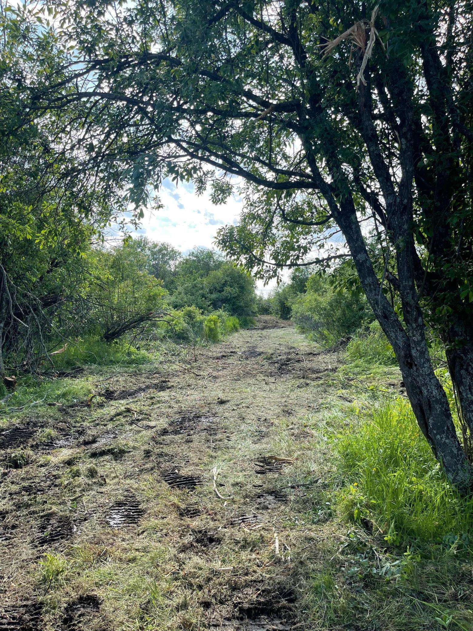 TBD Skog RD, Kettle River, MN 55757