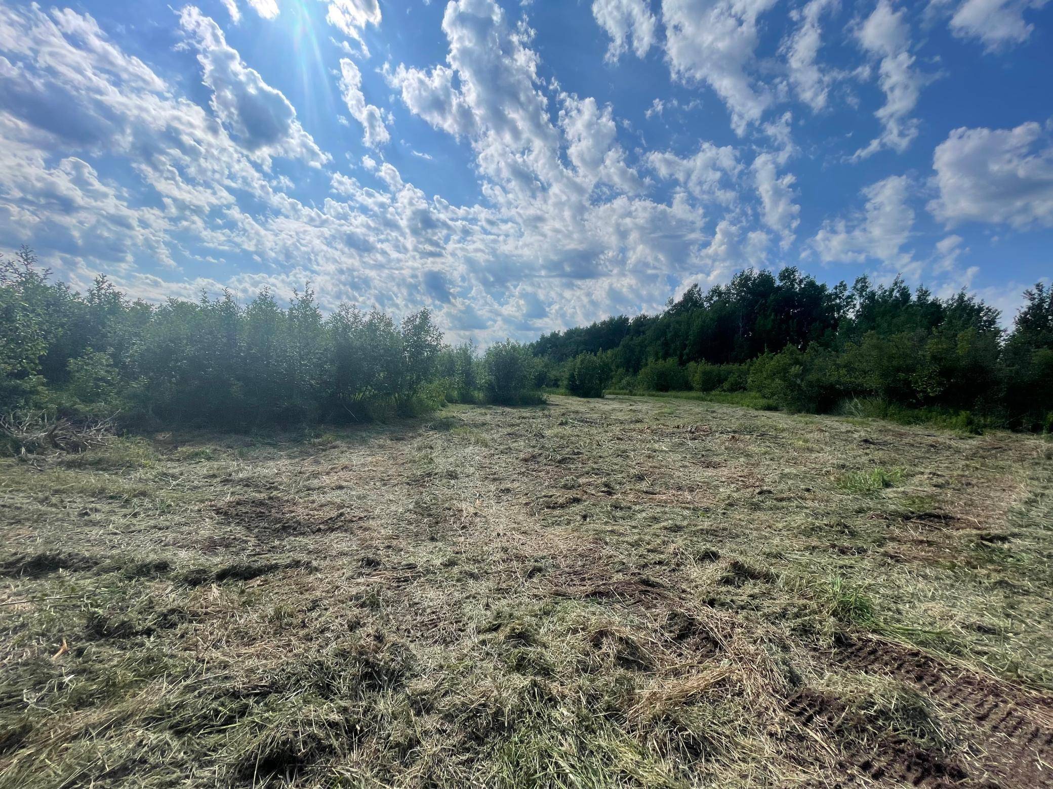 TBD Skog RD, Kettle River, MN 55757