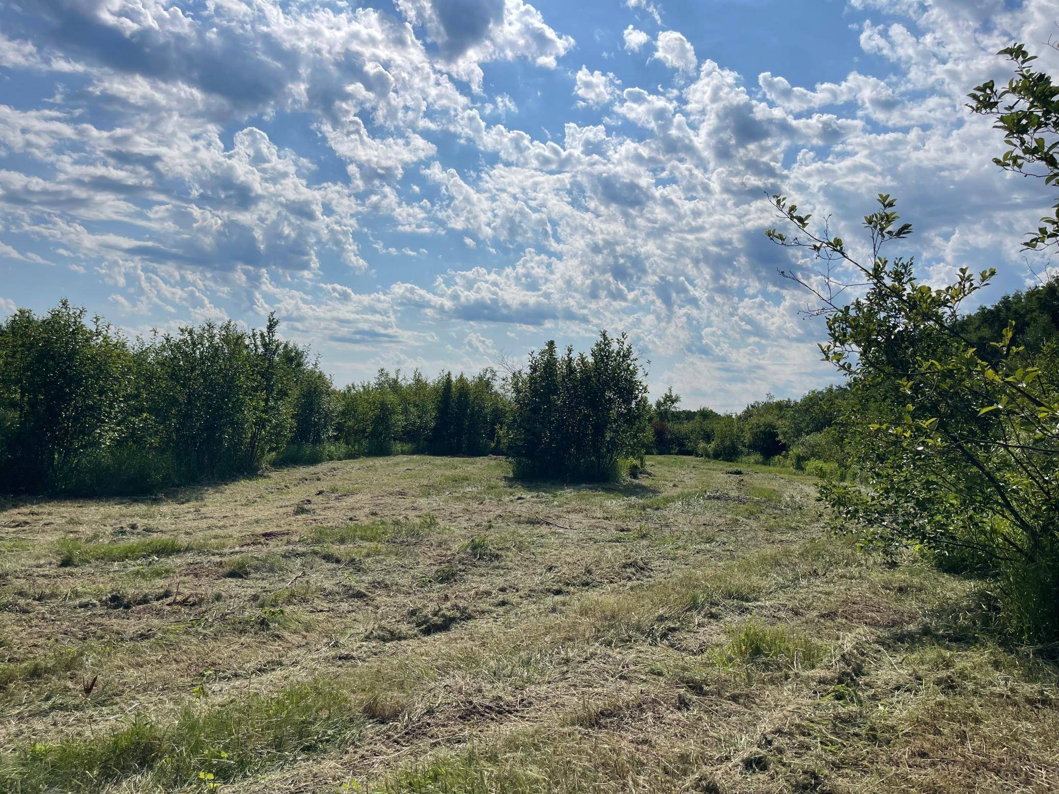 TBD Skog RD, Kettle River, MN 55757