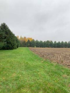 TBD Harrison AVE NE, Racine, MN 55967