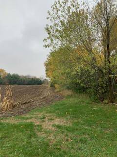 TBD Harrison AVE NE, Racine, MN 55967
