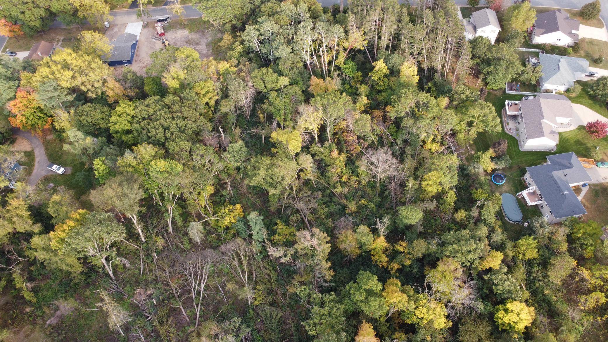 TBD 3rd St, Cannon Falls, MN 55009