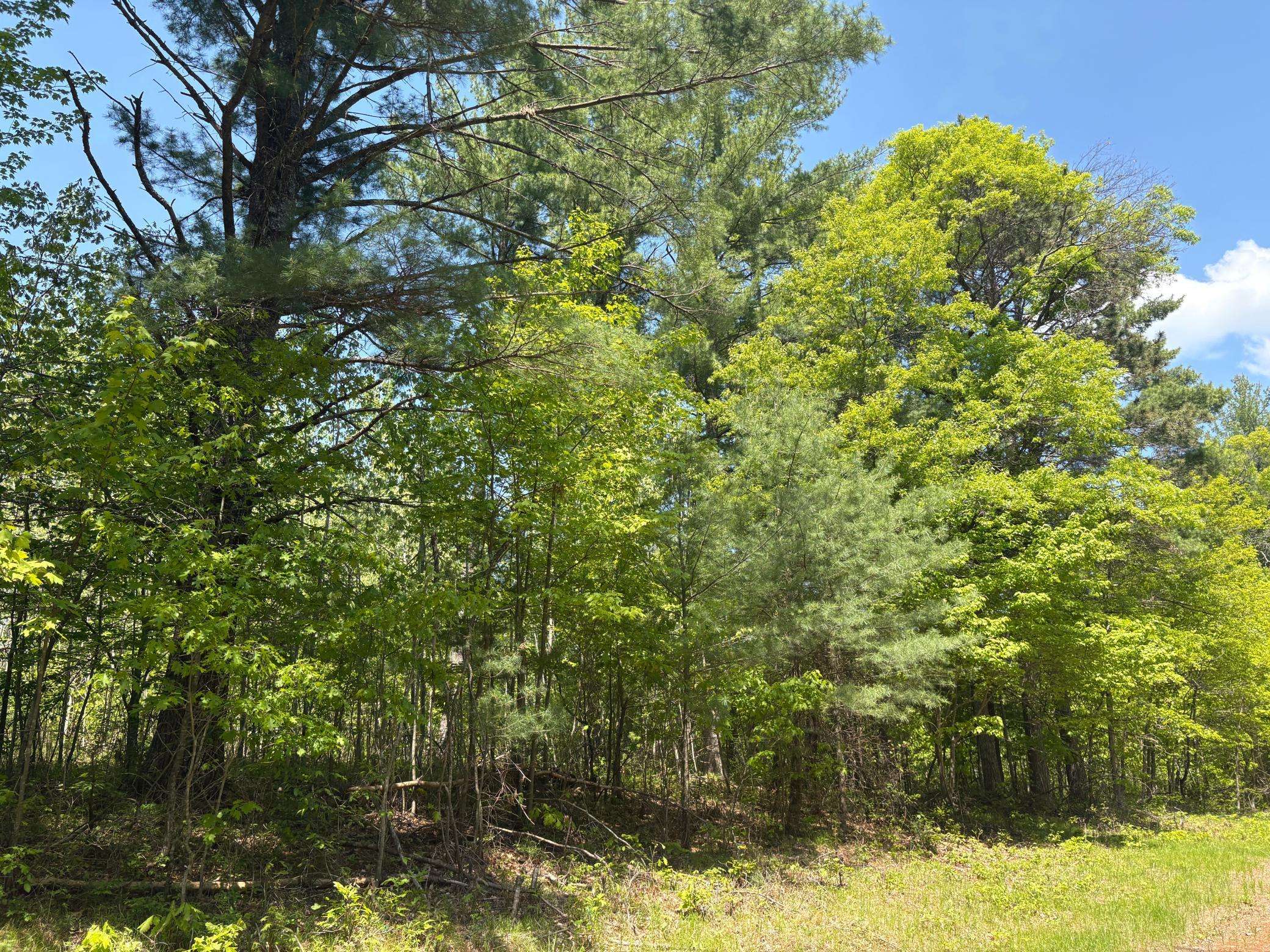 TBD Eagle Drive, Danbury, WI 54830