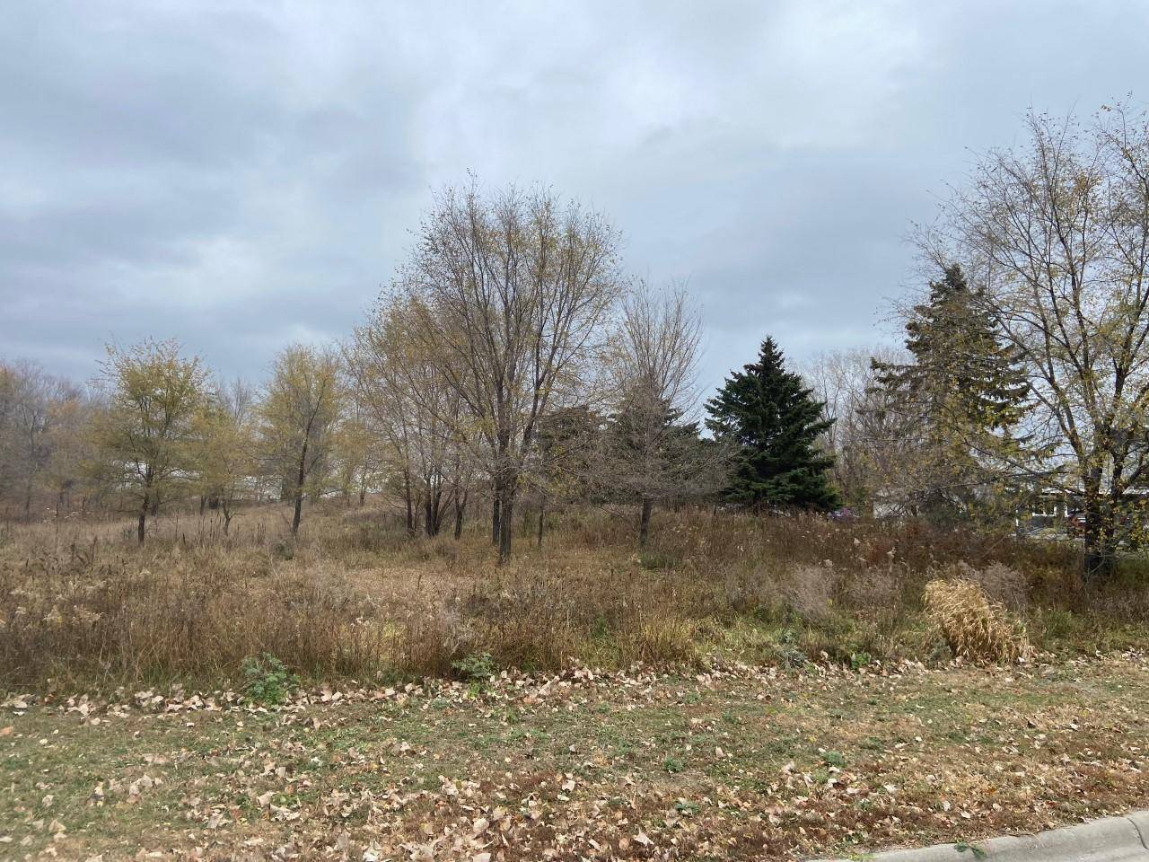 TBD 65th ST E, Inver Grove Heights, MN 55076