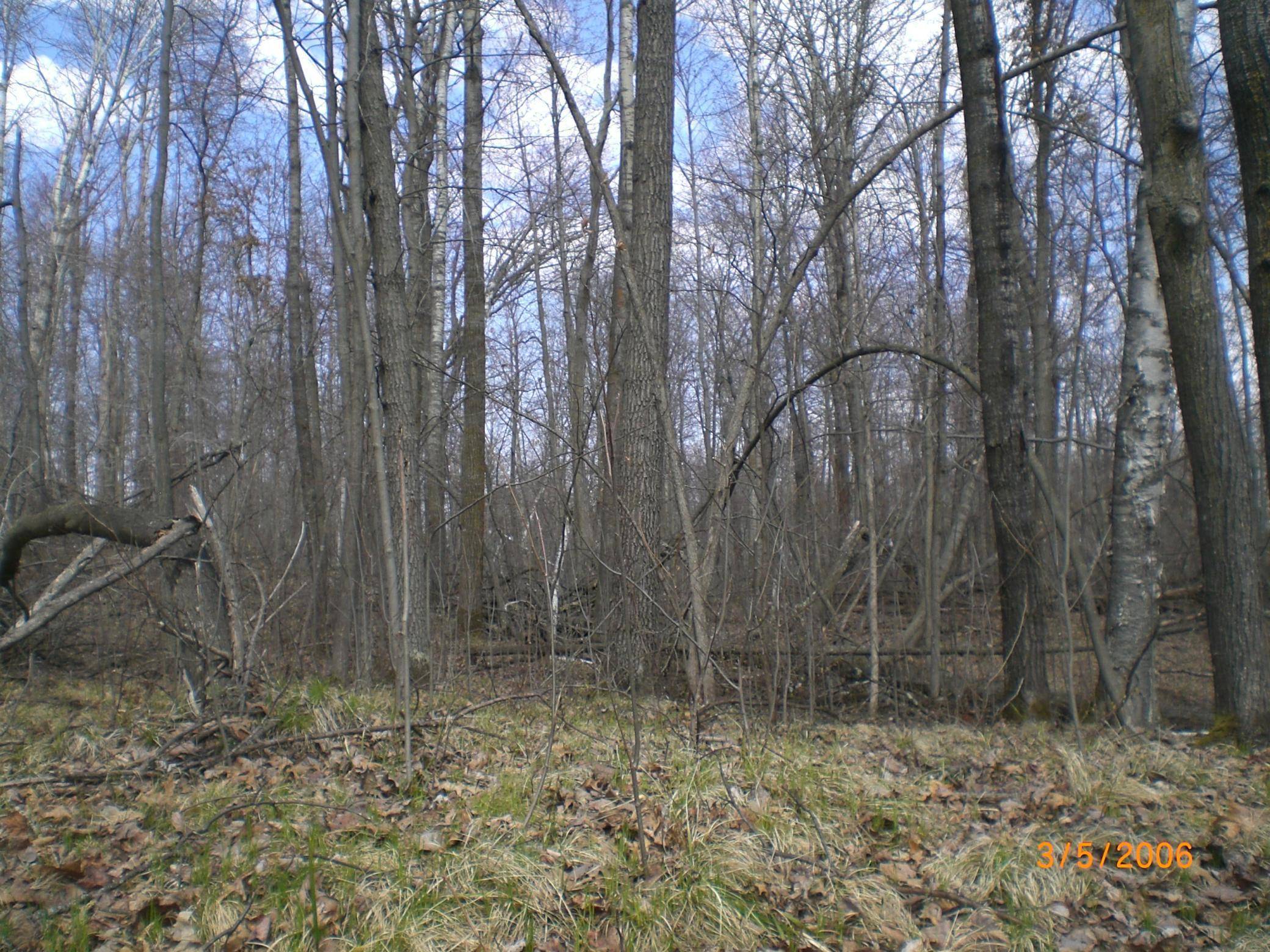 Lot 211 Catskill CIR, Breezy Point, MN 56472