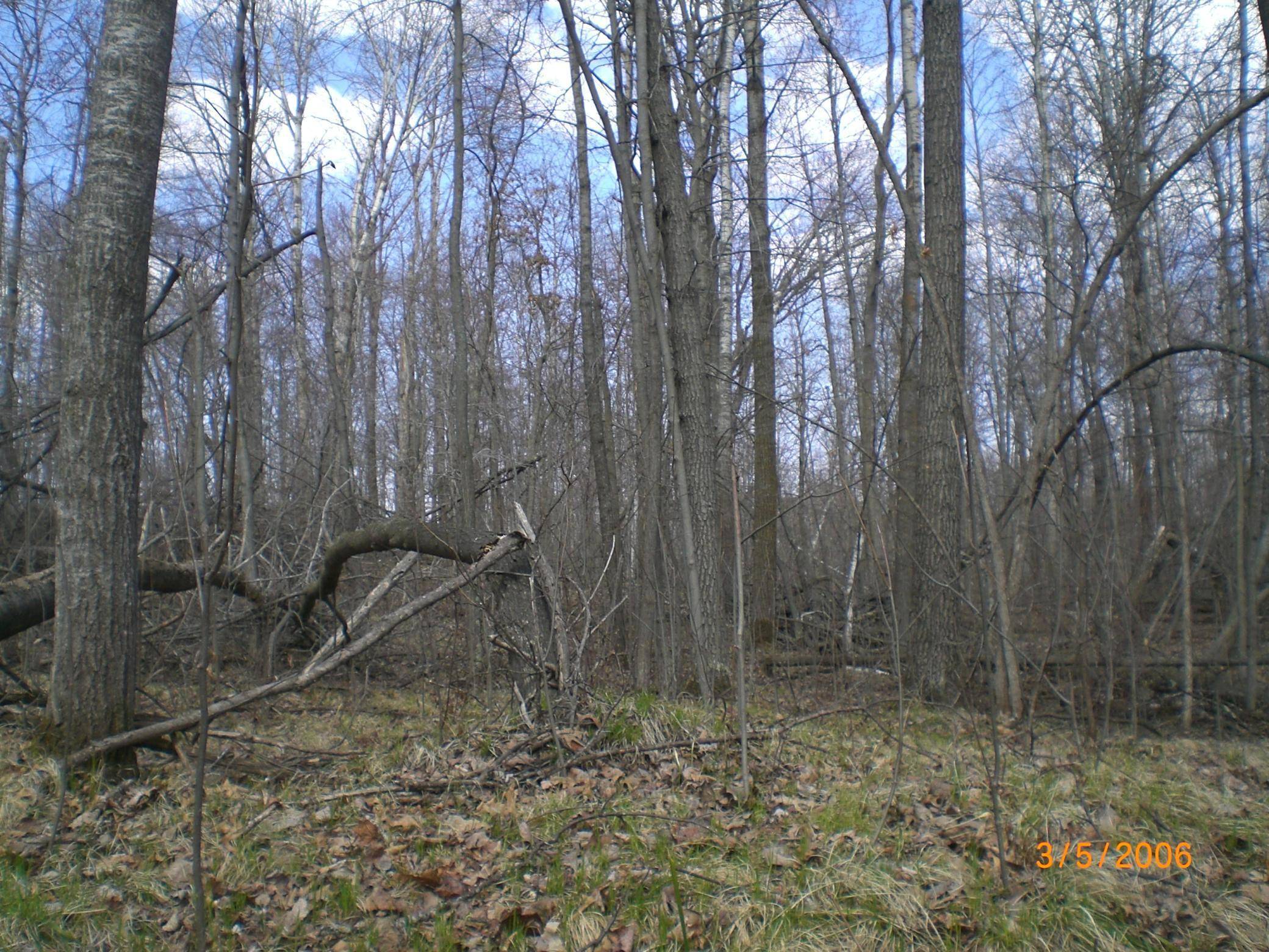 Lot 211 Catskill CIR, Breezy Point, MN 56472