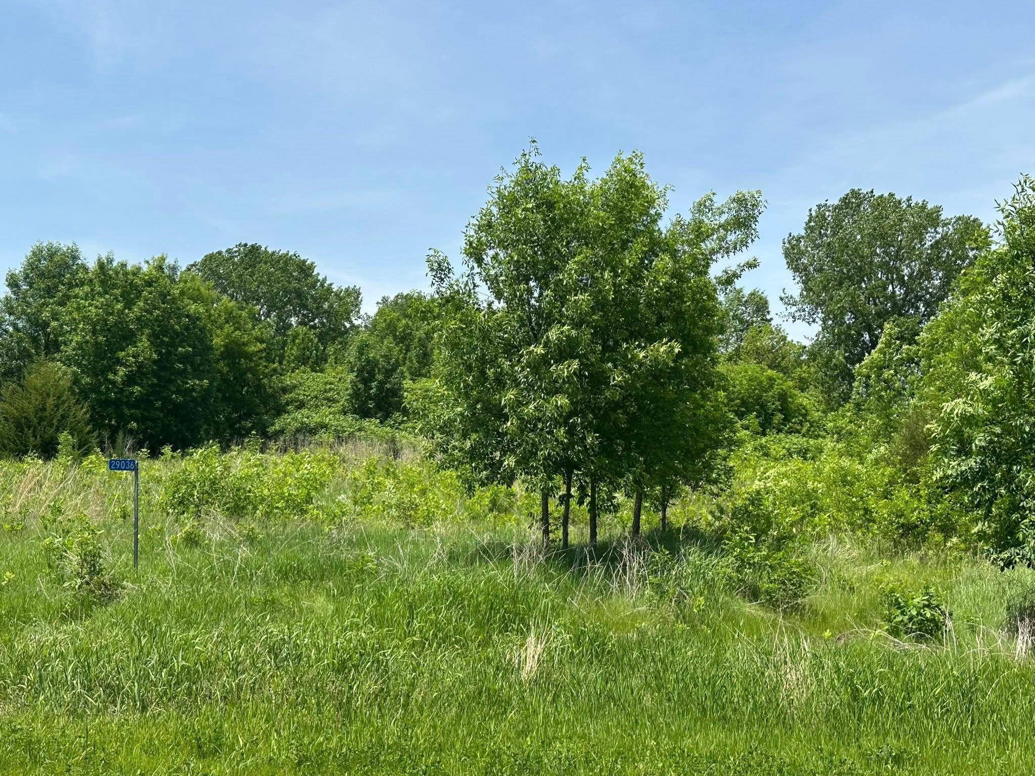 29036 Biehn DR, Madison Lake, MN 56063
