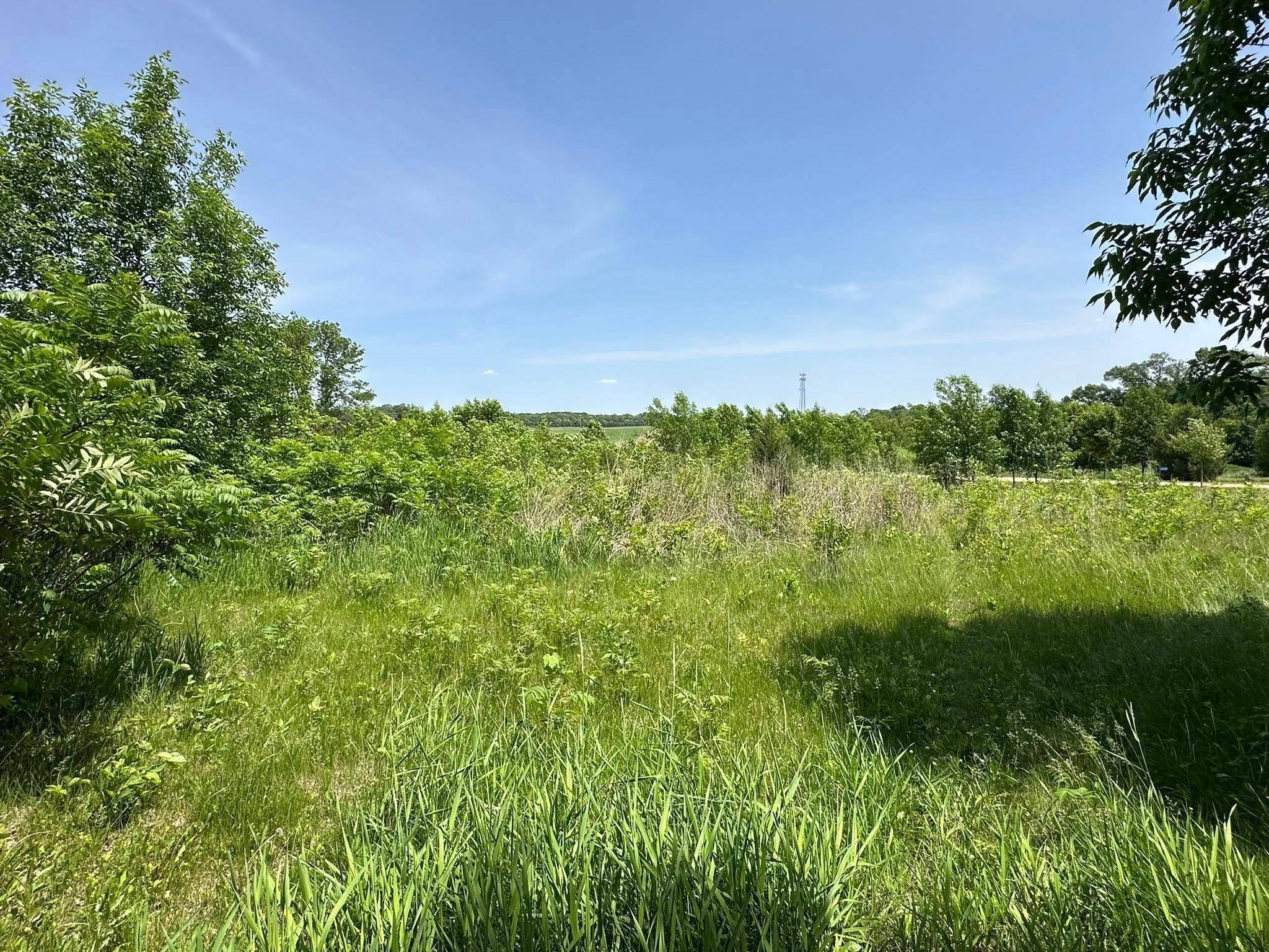 29036 Biehn DR, Madison Lake, MN 56063