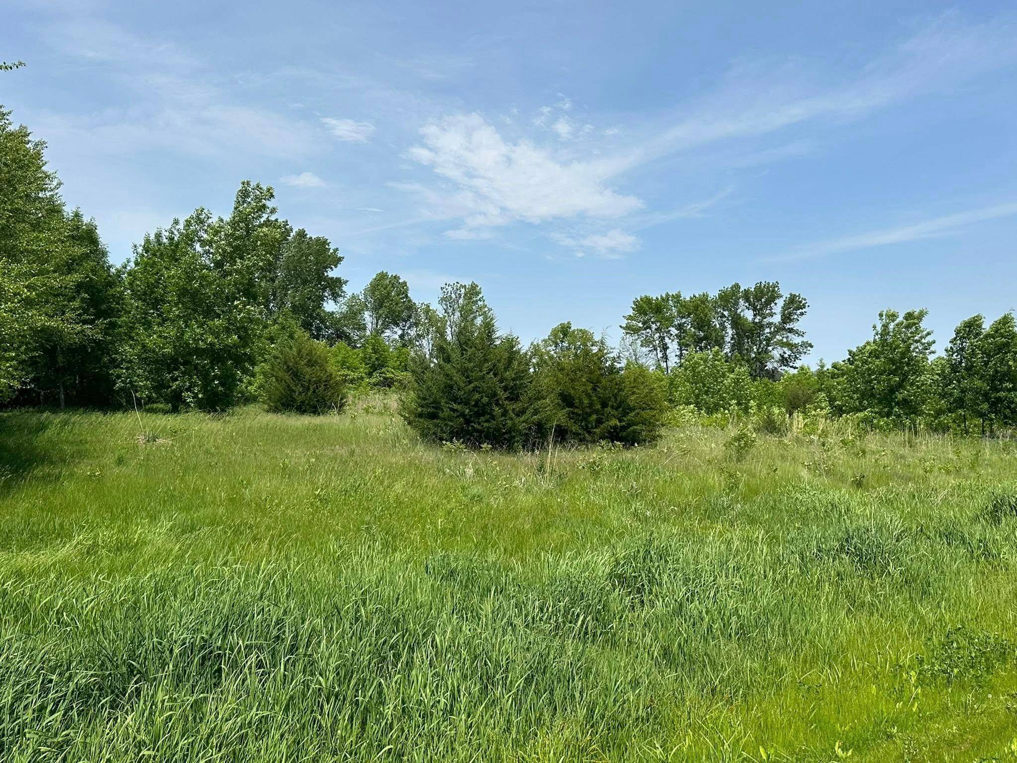 29036 Biehn DR, Madison Lake, MN 56063