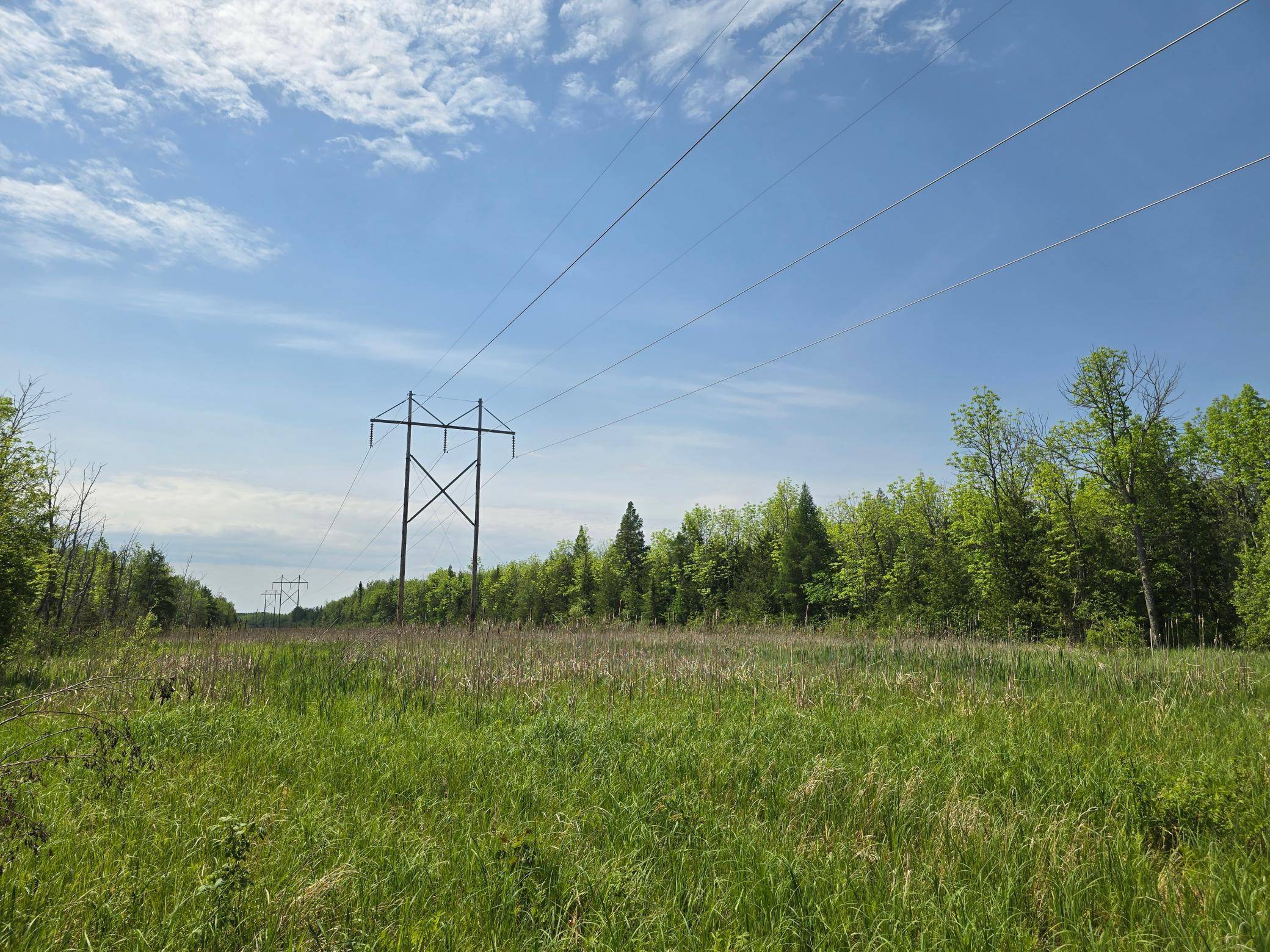 TBD Town Road 166, Littlefork, MN 56653