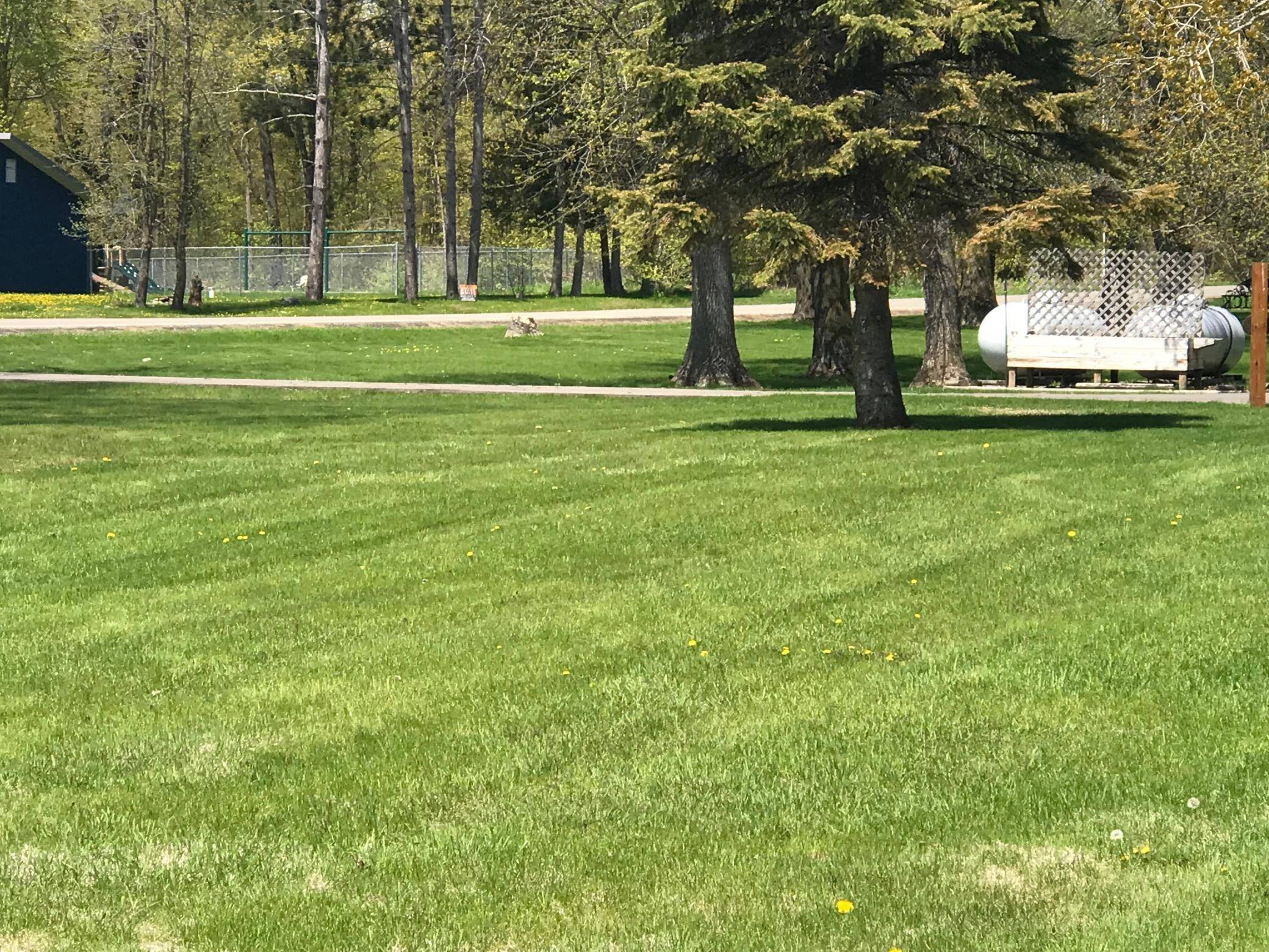 XXX Battle Point Trail, Federal Dam, MN 56641