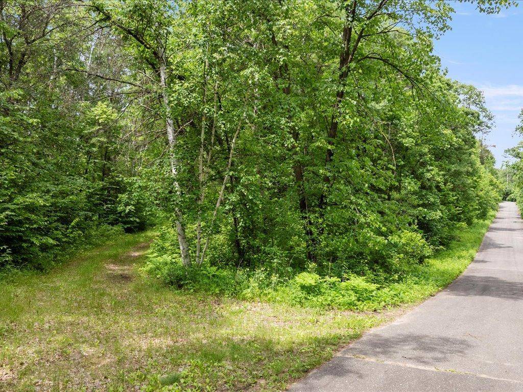TBD Dog Leg, Pequot Lakes, MN 56472