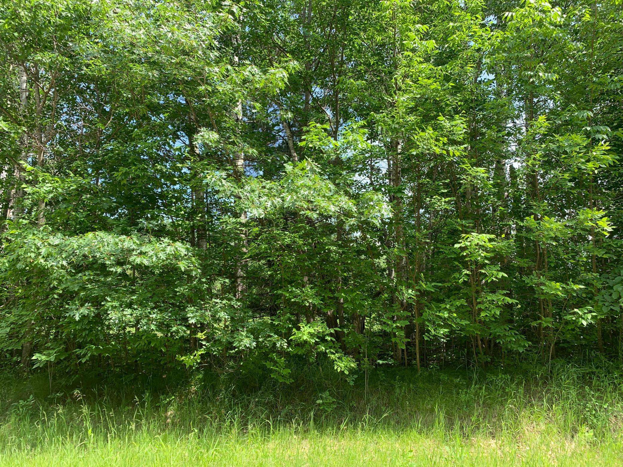TBD 63rd AVE NW, Walker, MN 56484