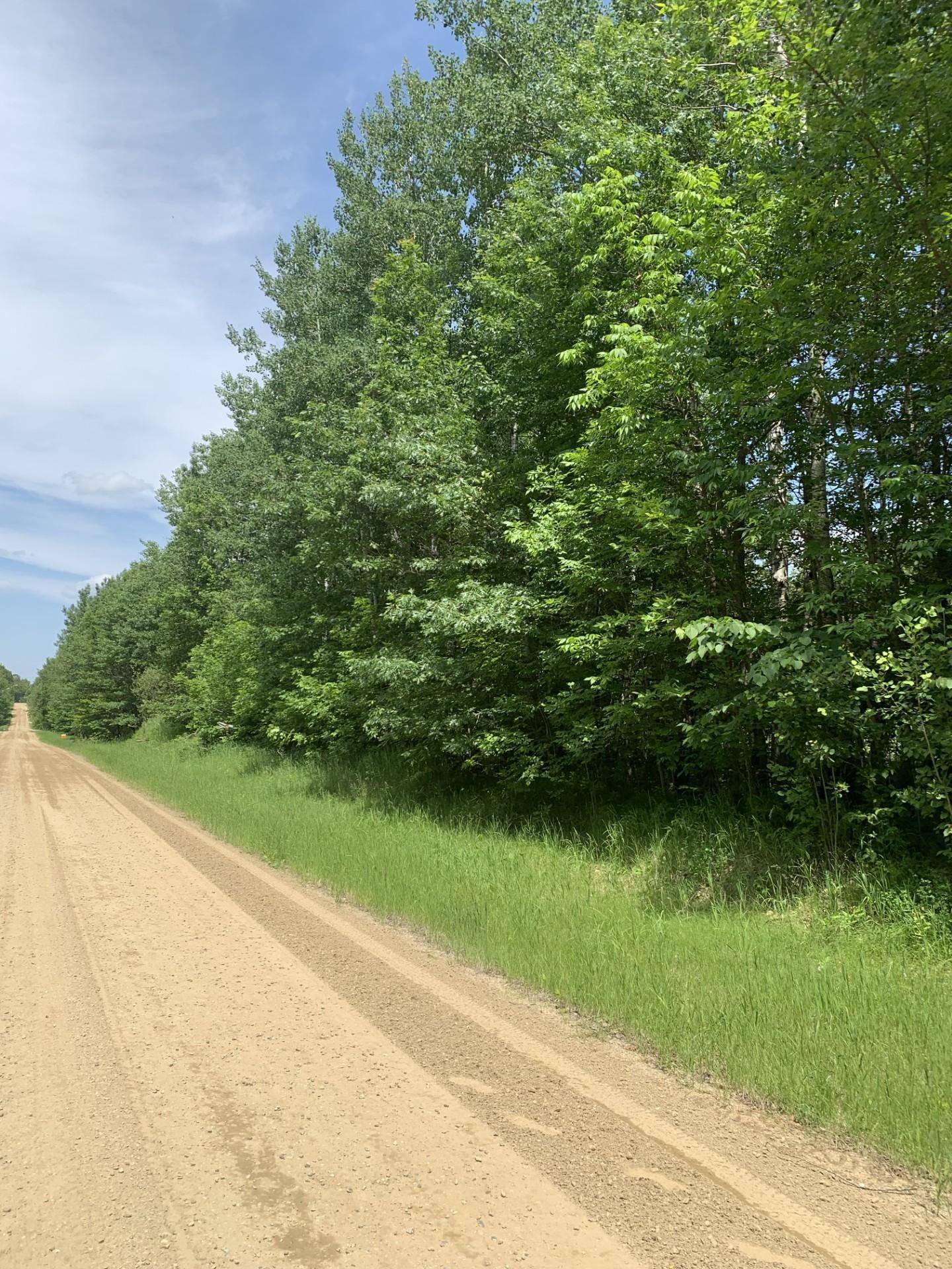 TBD 63rd AVE NW, Walker, MN 56484