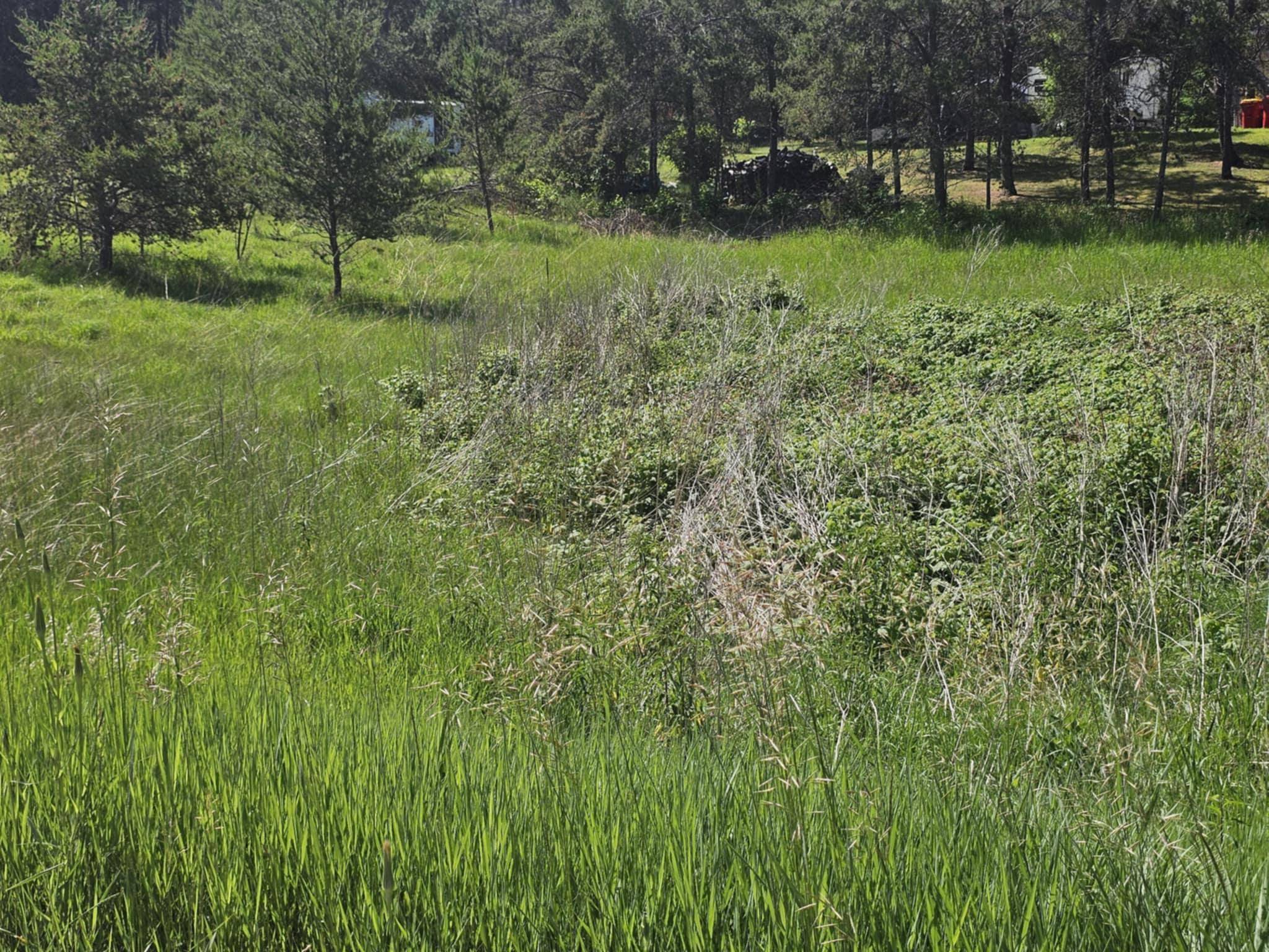 tbd 1st Ave, Breezy Point, MN 56472