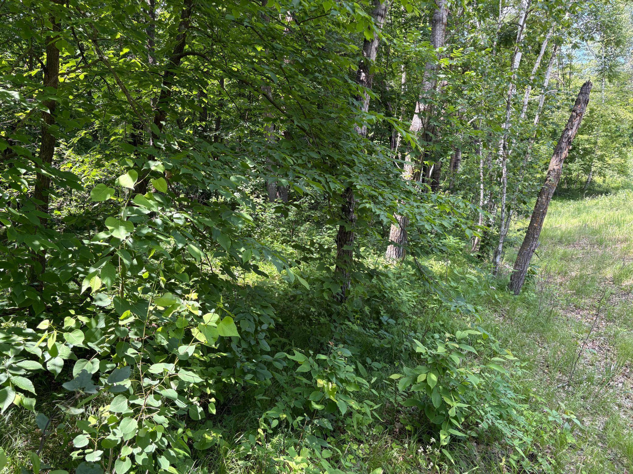 399xx Oriole CT, Browerville, MN 56438