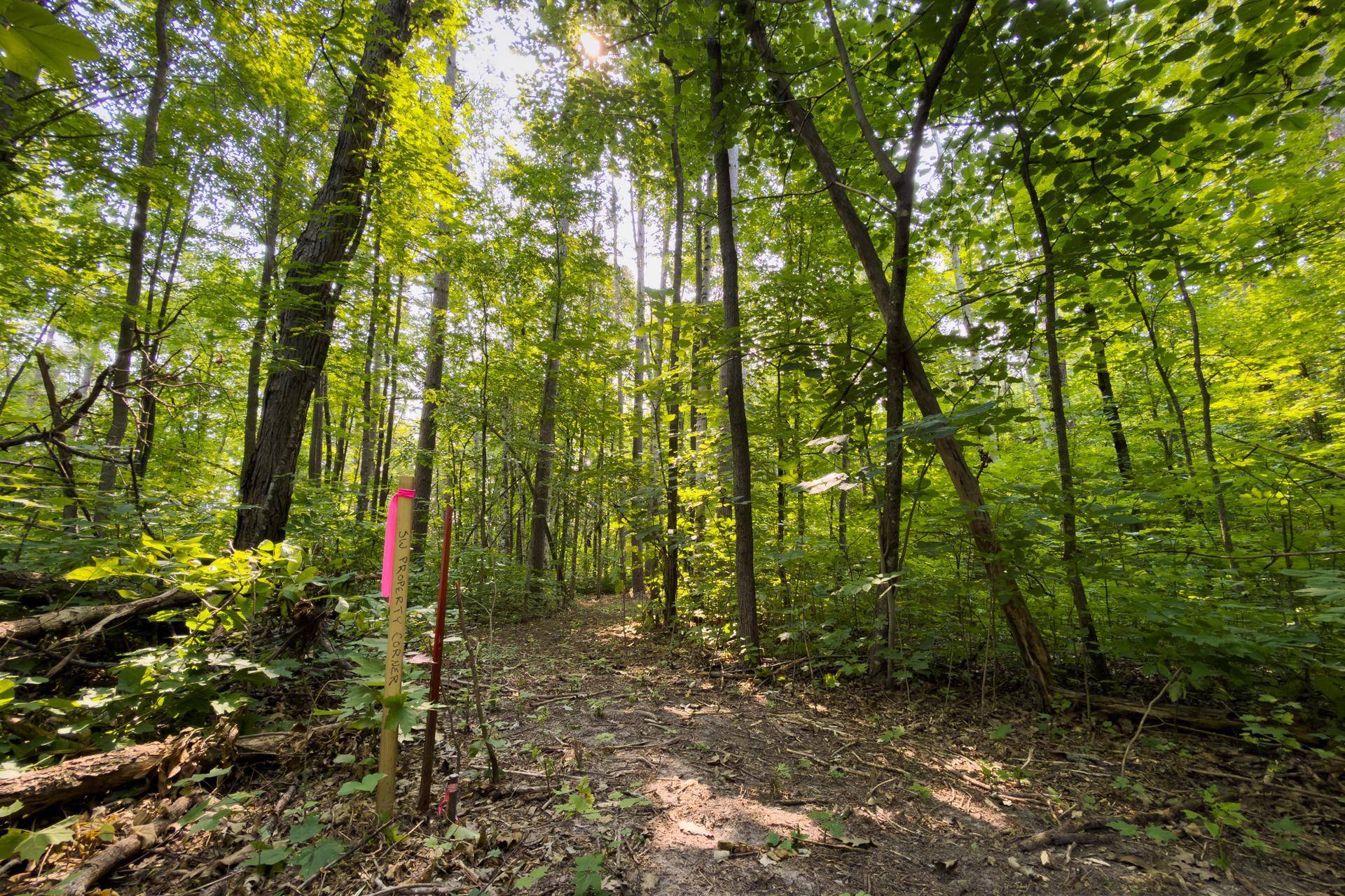 Lot 2 Turtle Lake DR NW, Walker, MN 56484