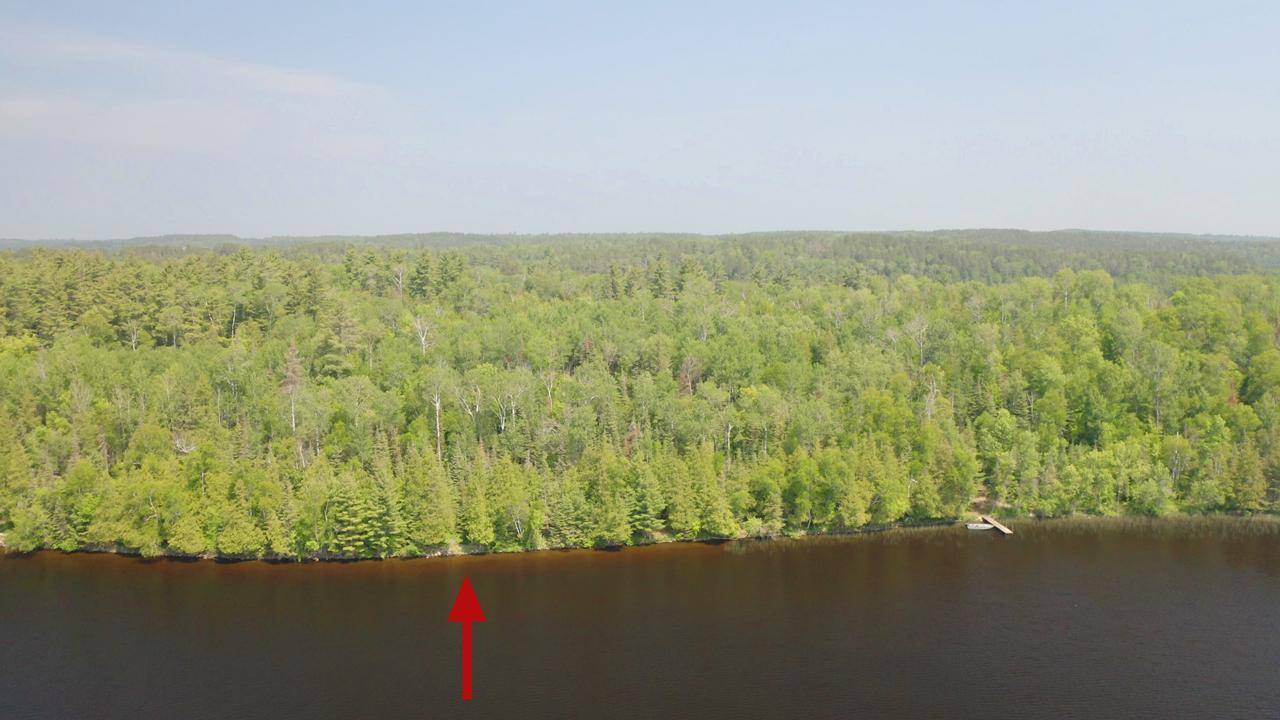 5773 Lake Vermilion N, Tower, MN 55790