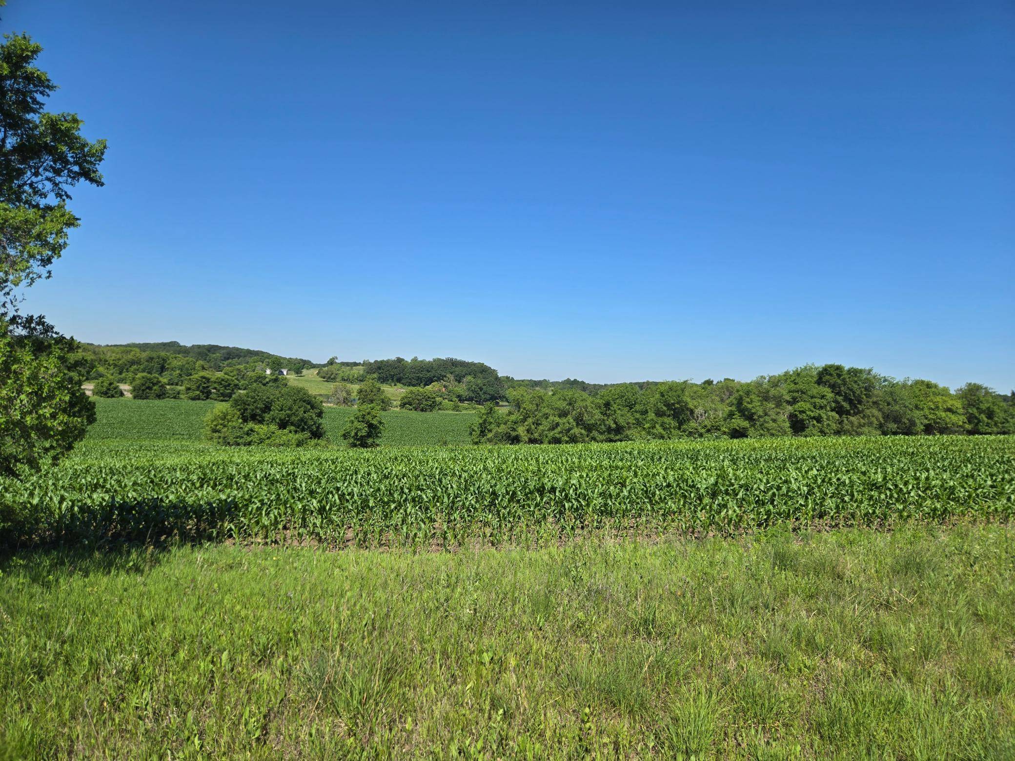 TBD County Hwy 83, Battle Lake, MN 56515