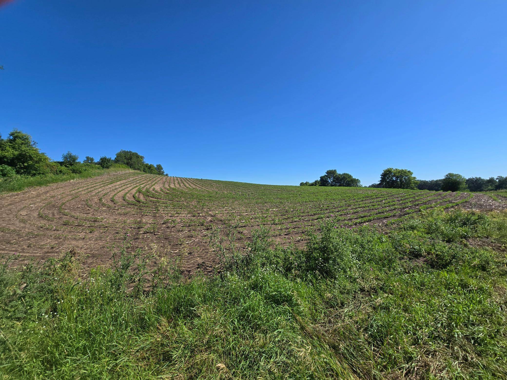 TBD County Hwy 83, Battle Lake, MN 56515