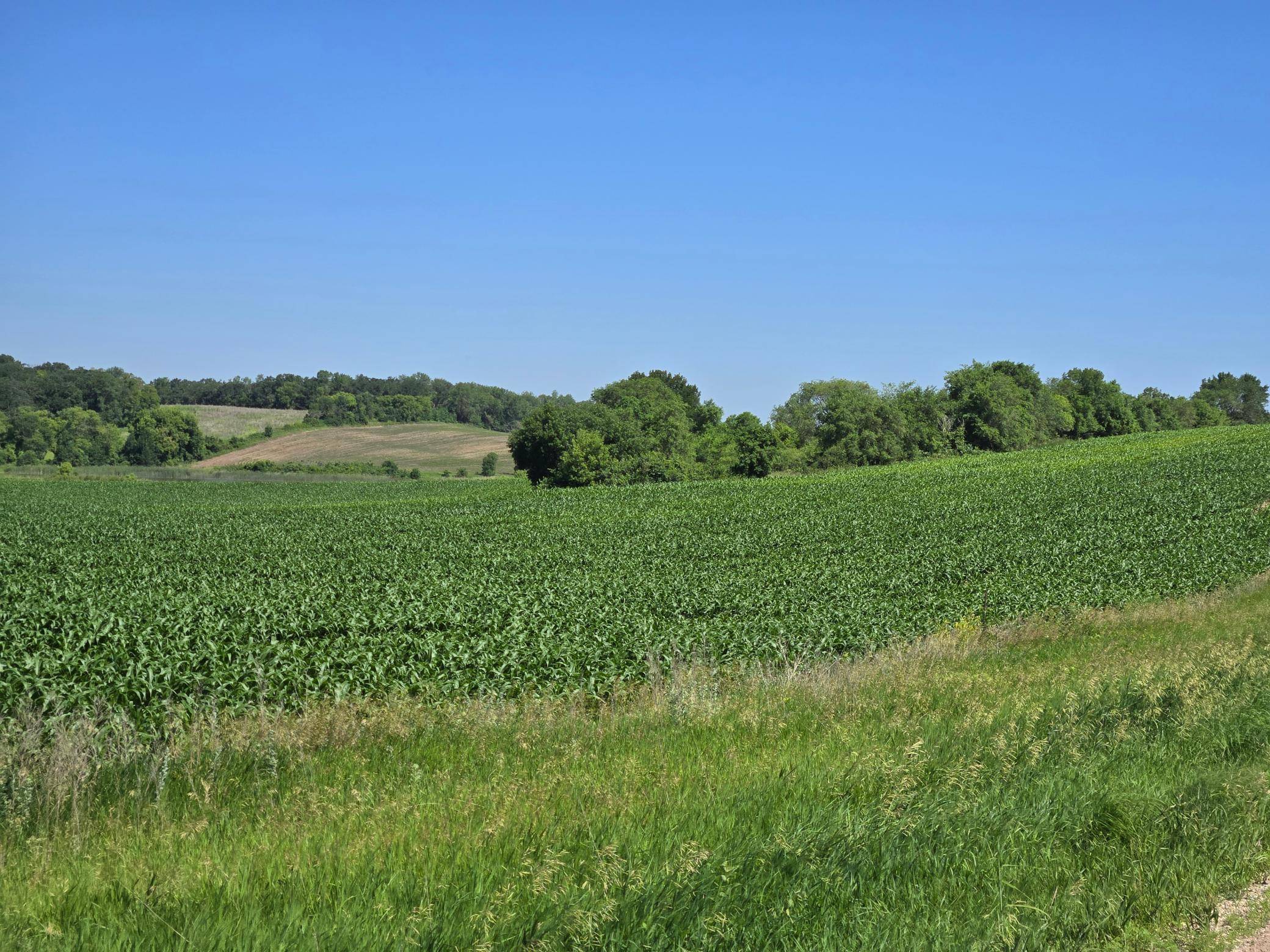 TBD County Hwy 83, Battle Lake, MN 56515