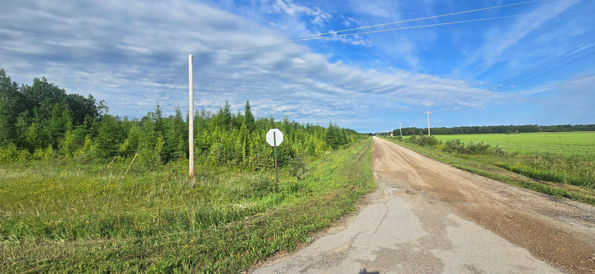 33949 County 17 RD, Roosevelt, MN 56673