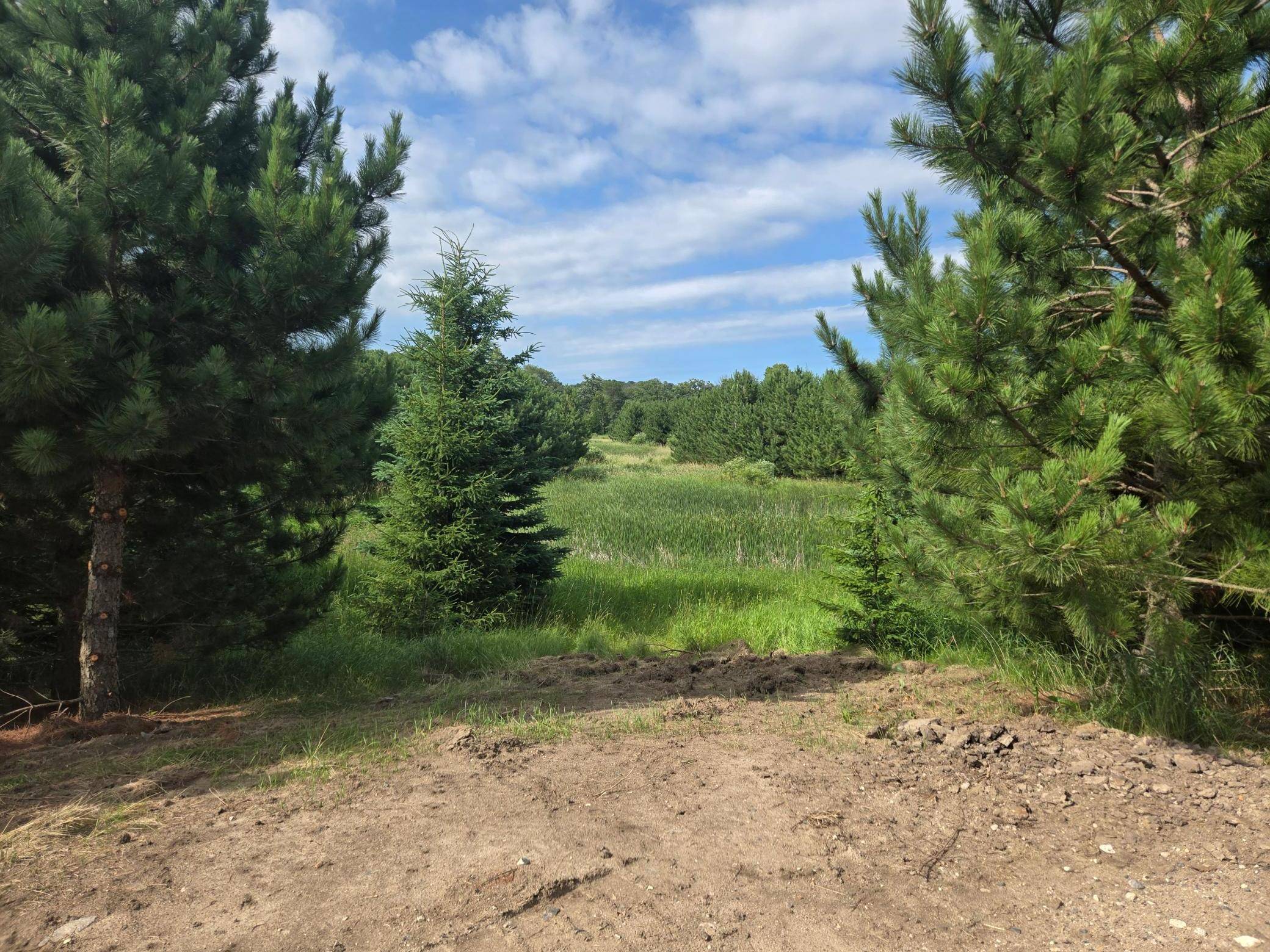 20332 County Highway 25, Detroit Lakes, MN 56501