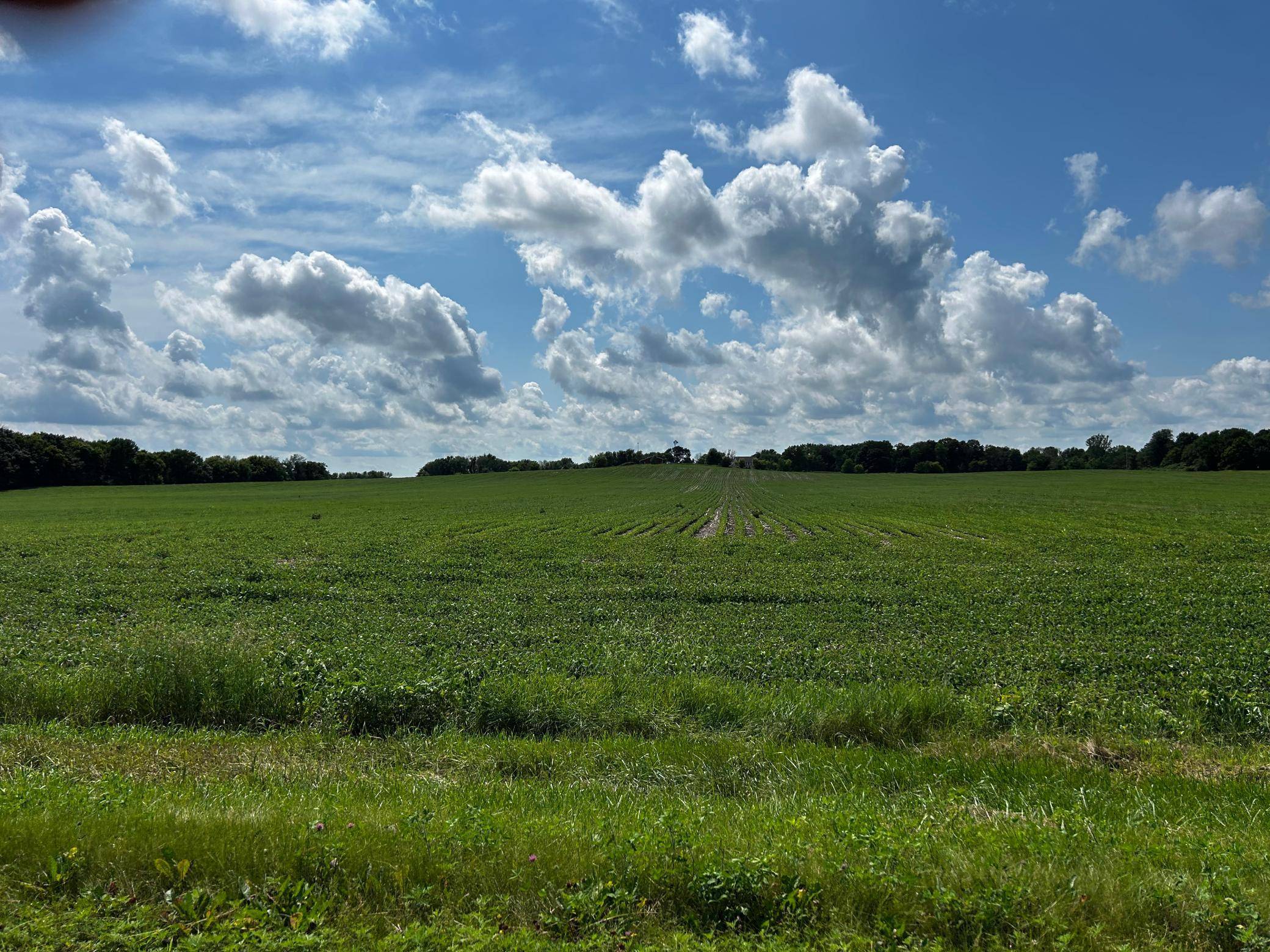 XX TBD Mellgren LN, Chaska, MN 55318