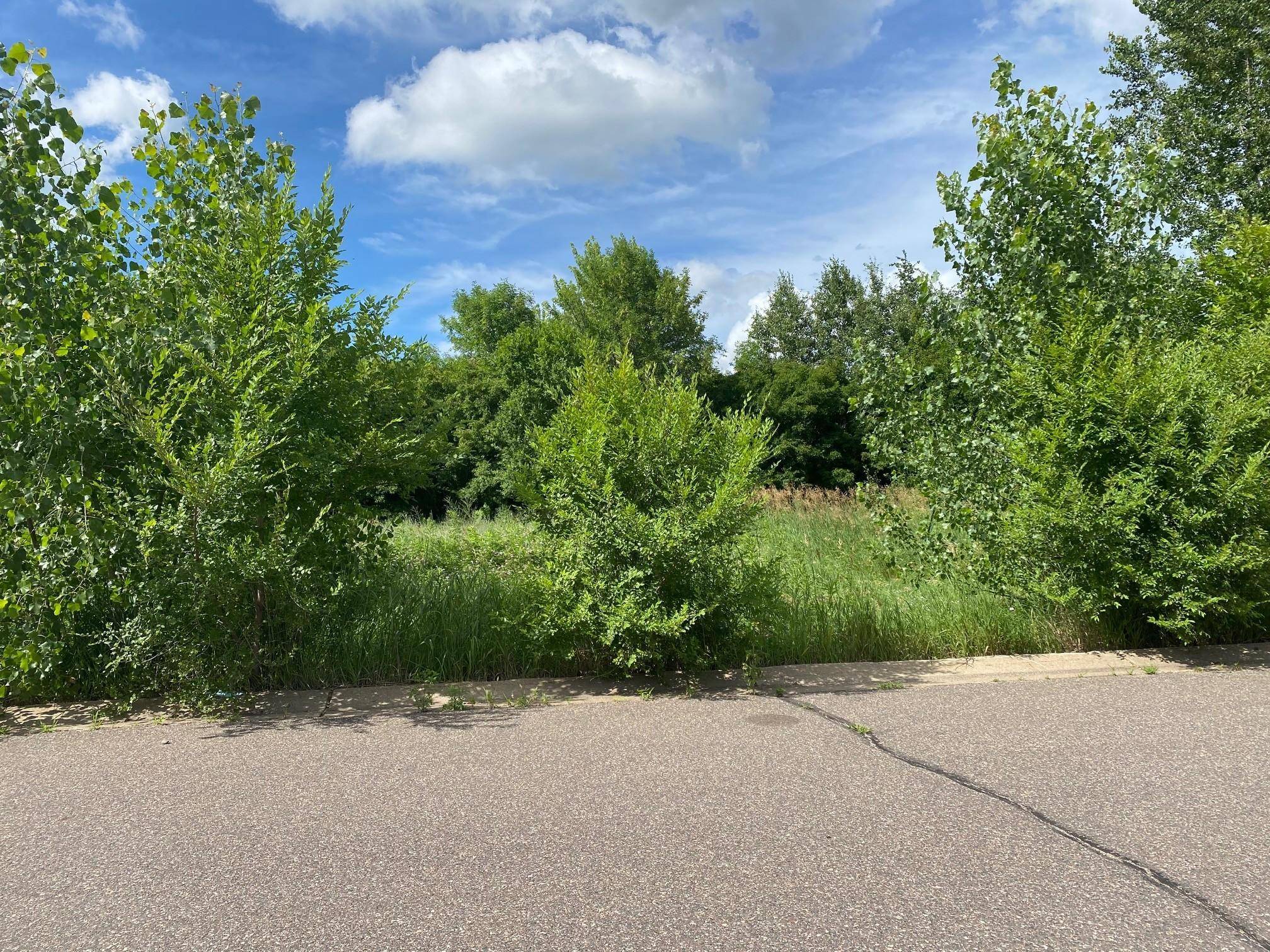 6074 150th ST N, Hugo, MN 55038