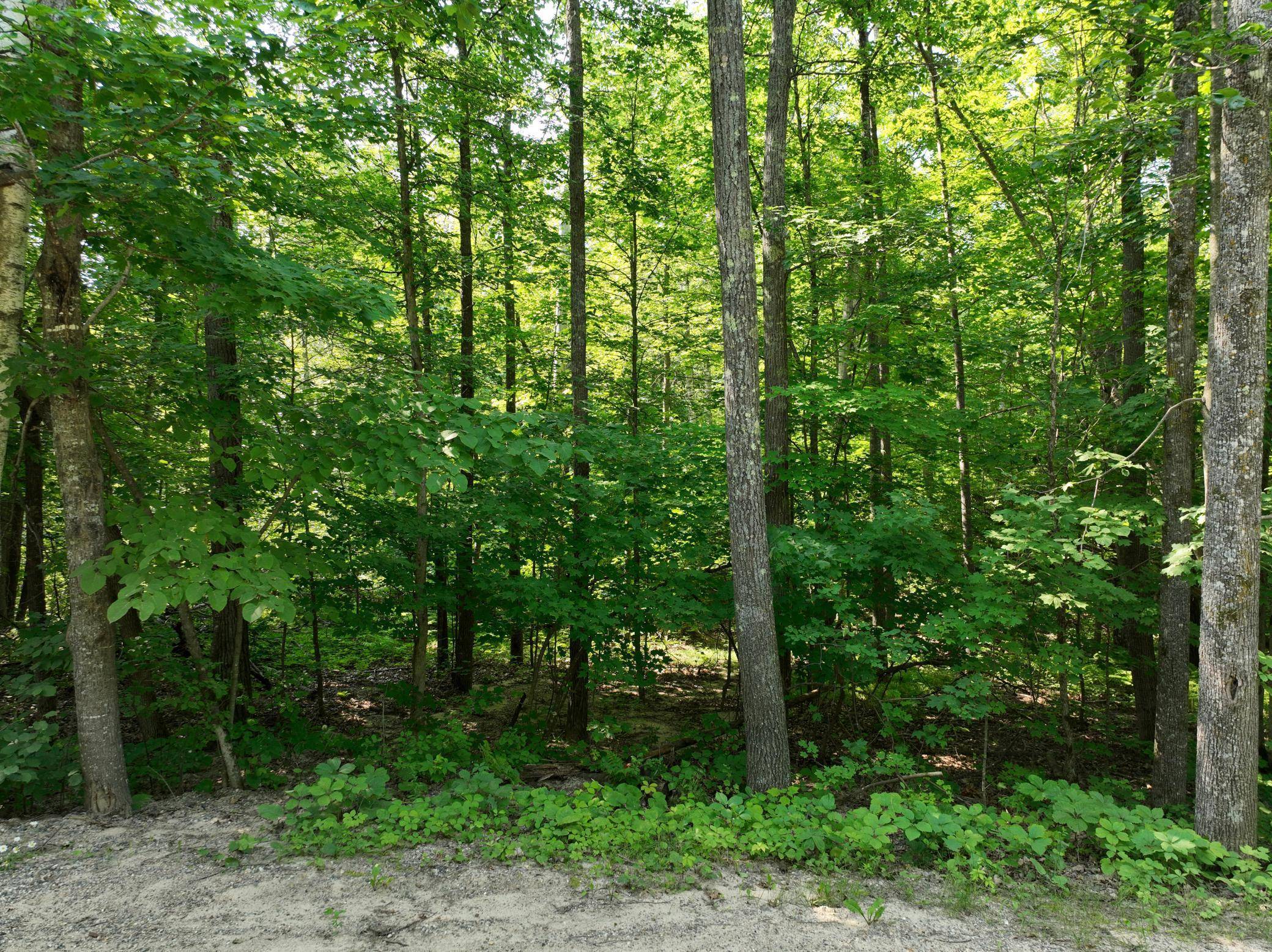 TBD Hillerman RD NW, Hackensack, MN 56452