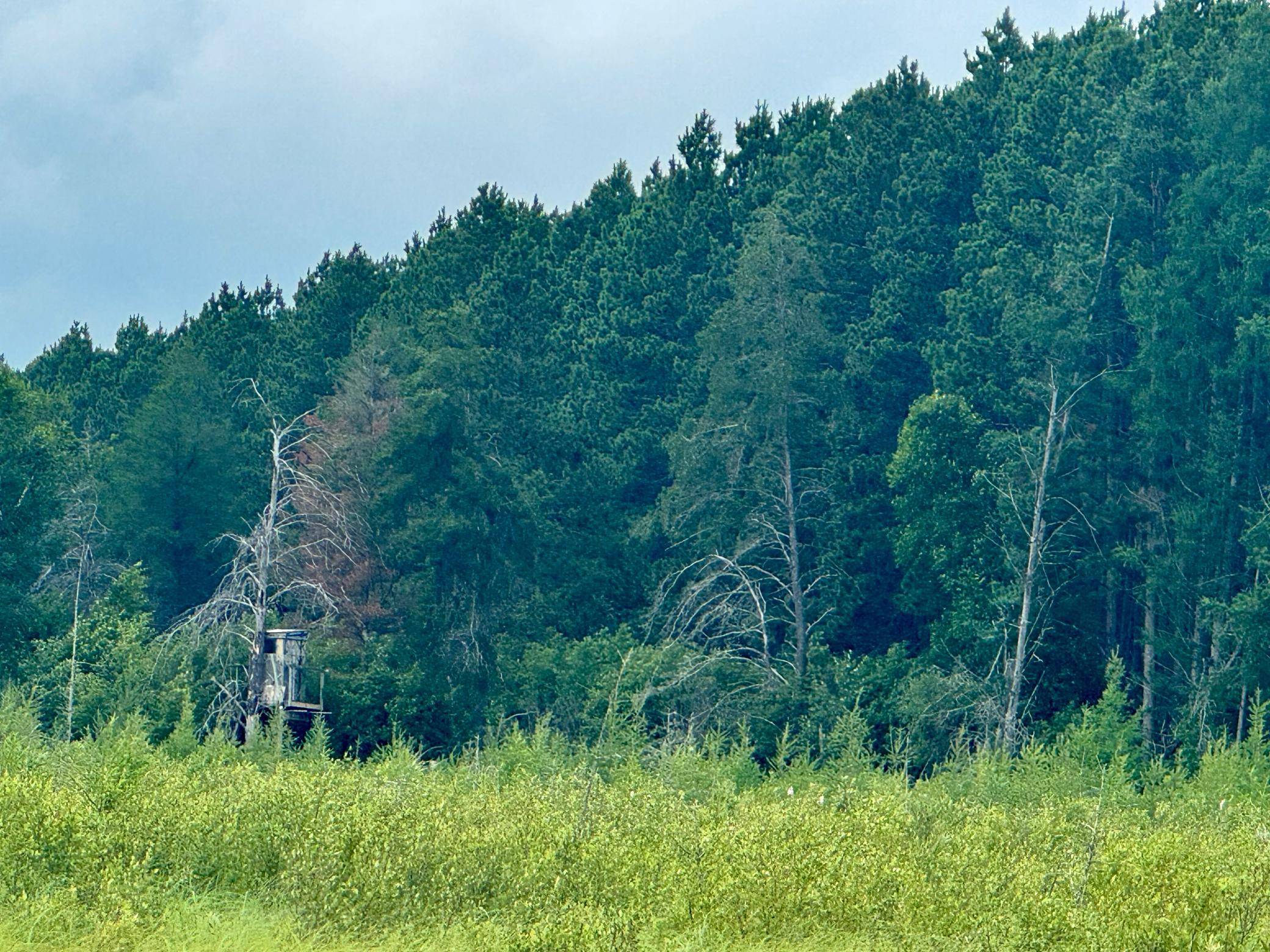 TBD 20th St. SW 20 St. SW, Pine River, MN 56474
