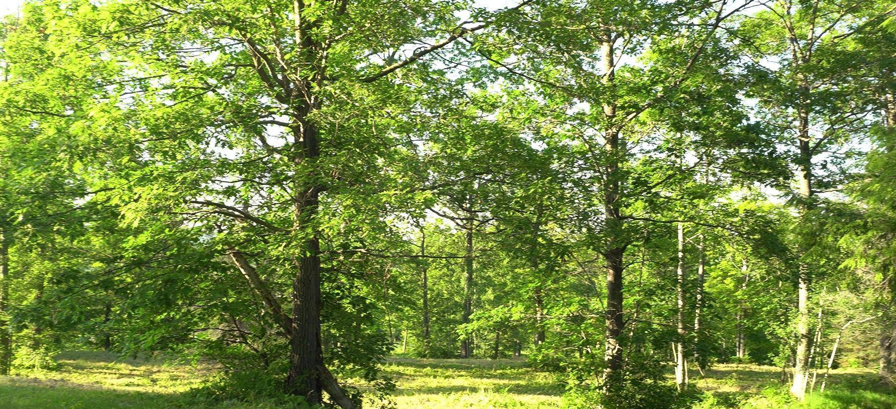 83xxx - Lot 6 Ashwabay Heights RD, Bayfield, WI 54814
