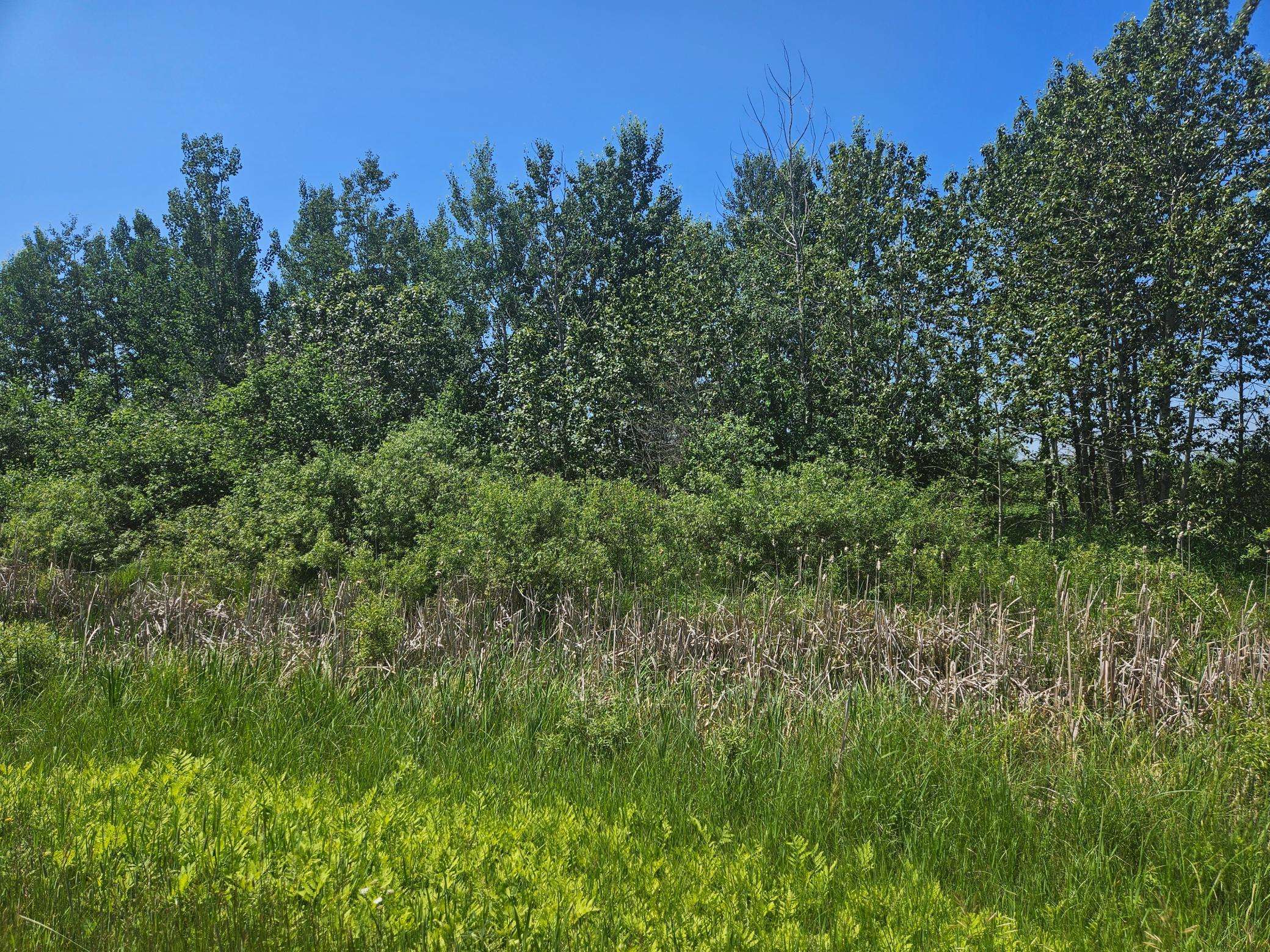 xxx County Road 32, Aitkin, MN 56431