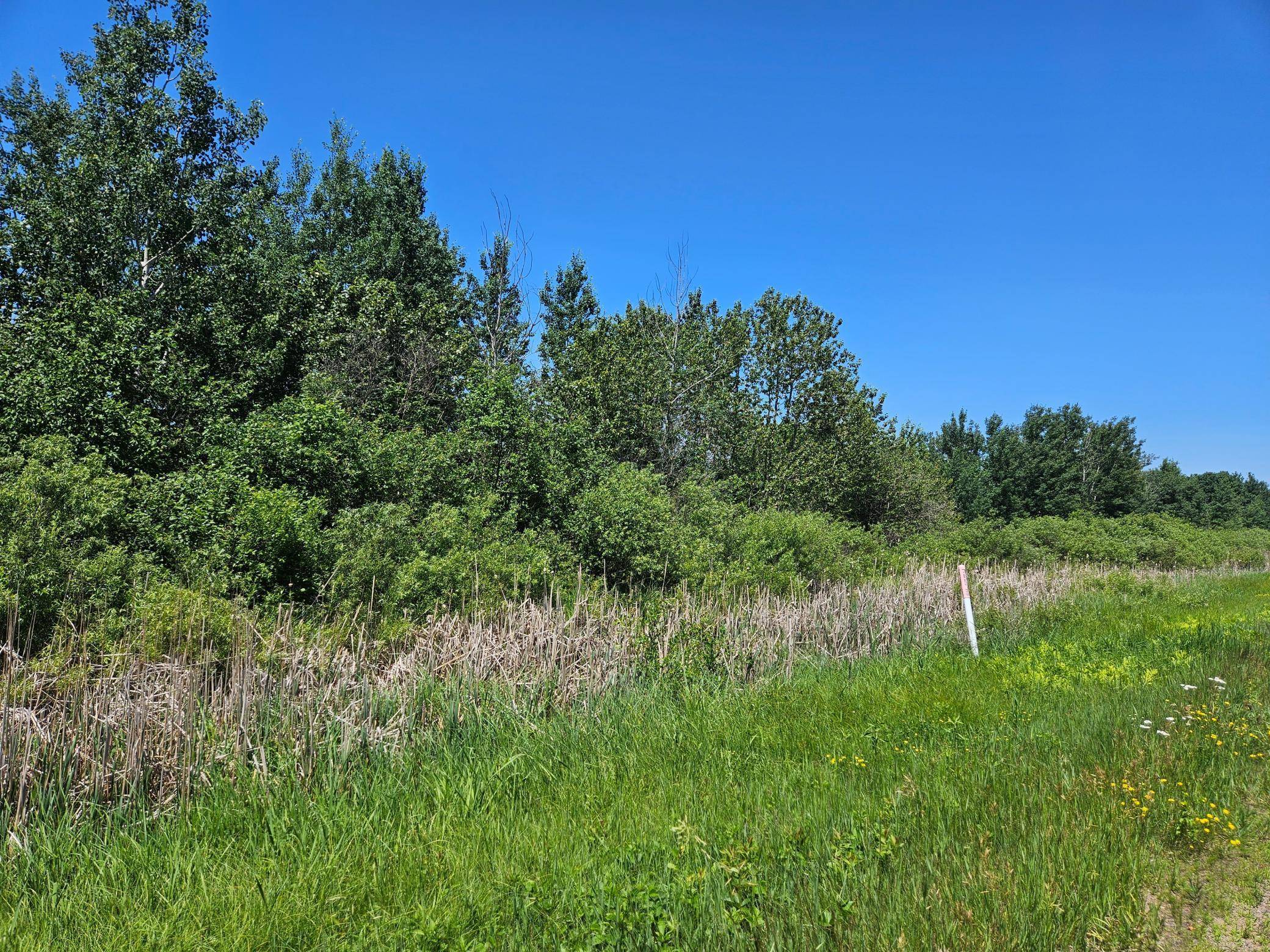 xxx County Road 32, Aitkin, MN 56431