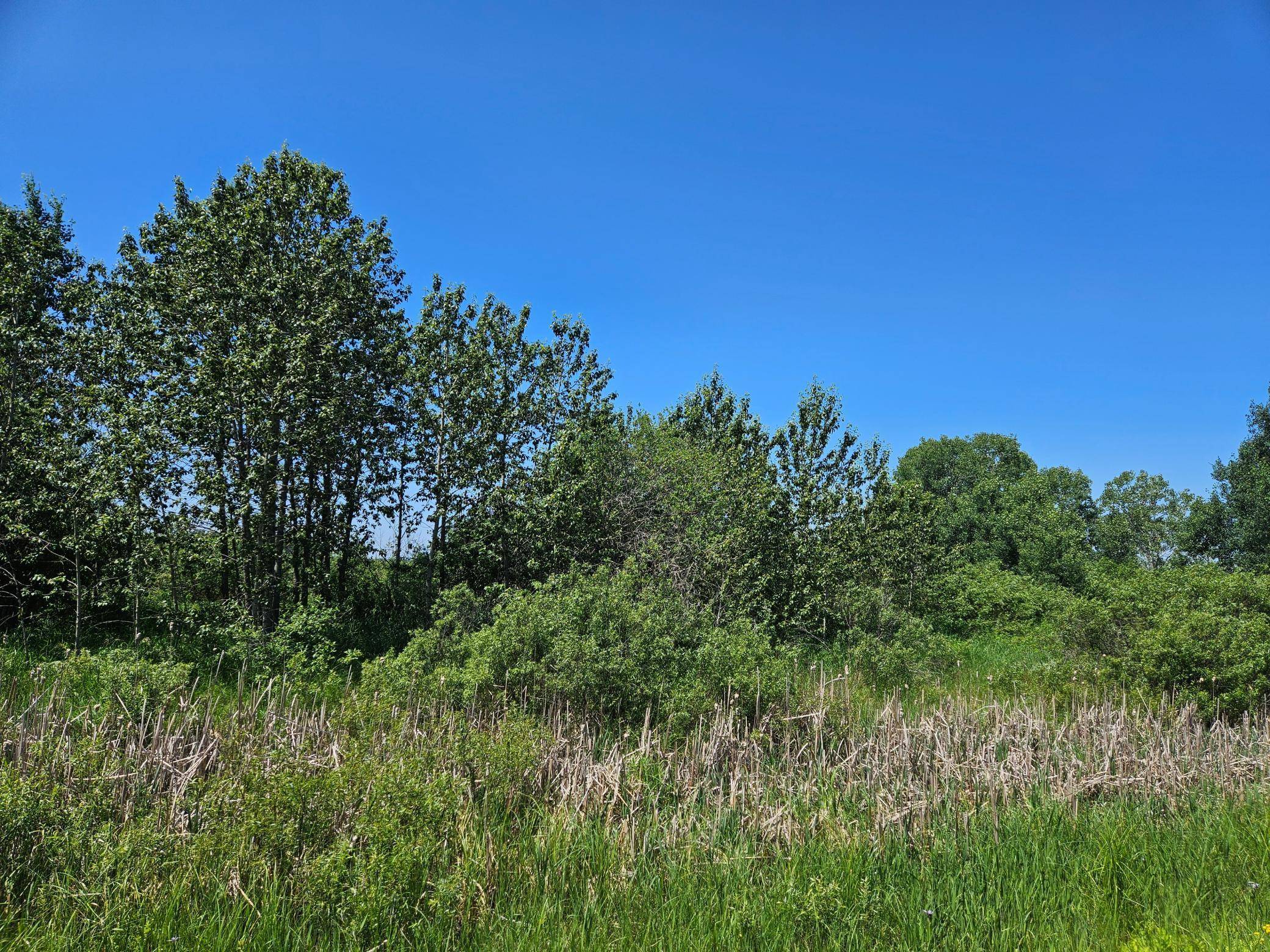 xxx County Road 32, Aitkin, MN 56431