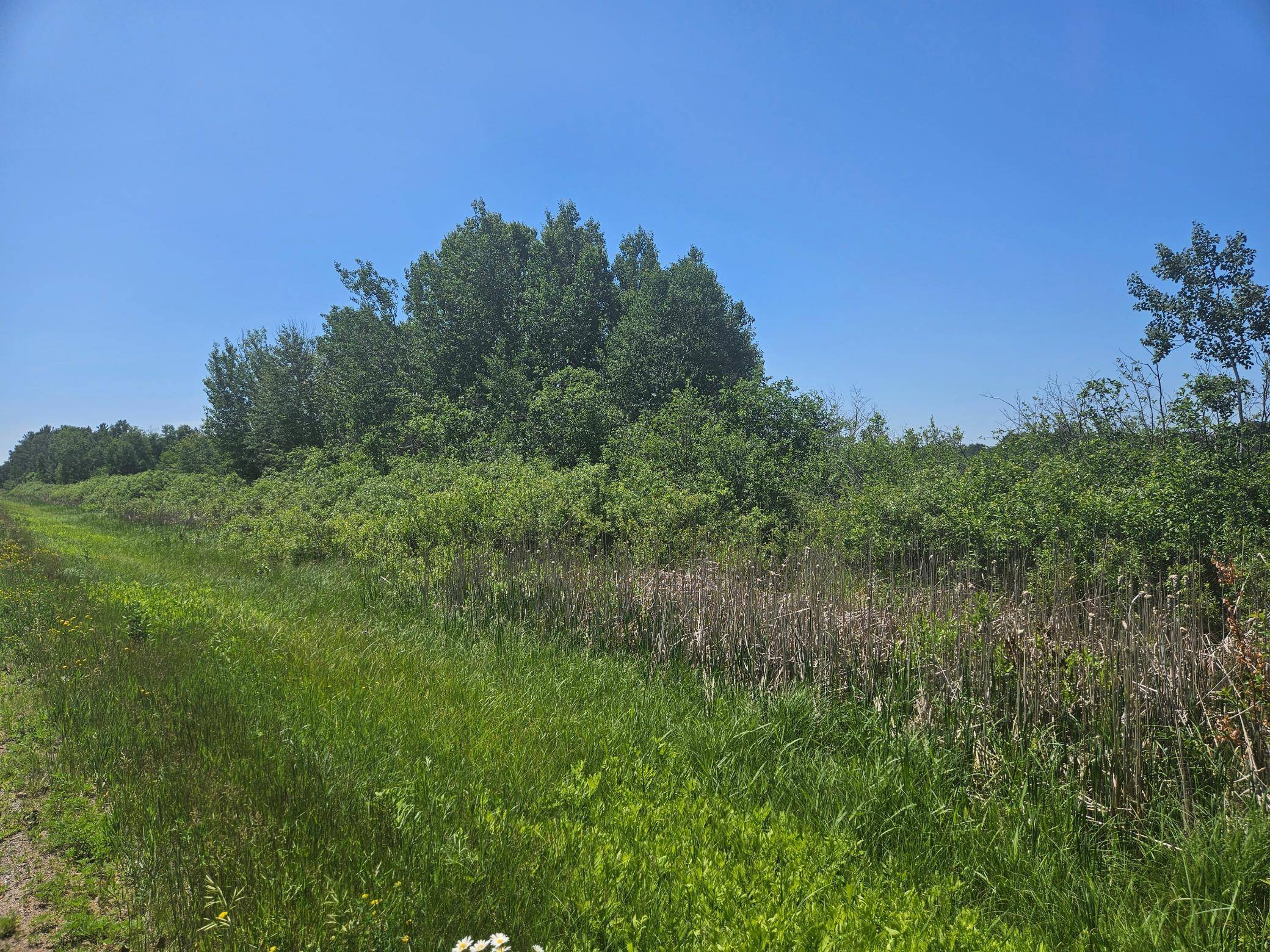 xxx County Road 32, Aitkin, MN 56431