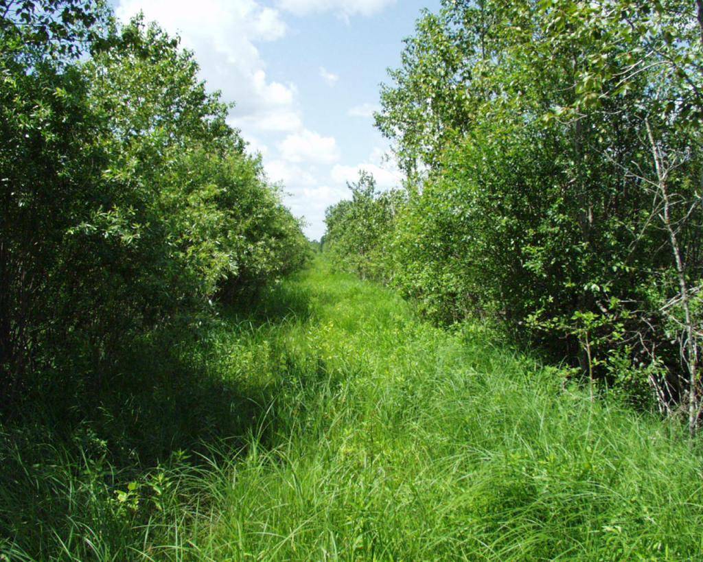 72001 NW Dicks Pkwy, Grygla, MN 56727