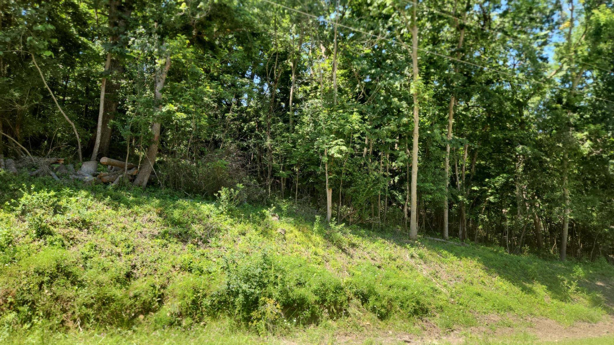 XXXX Cedar Beach DR NW, Oronoco, MN 55960
