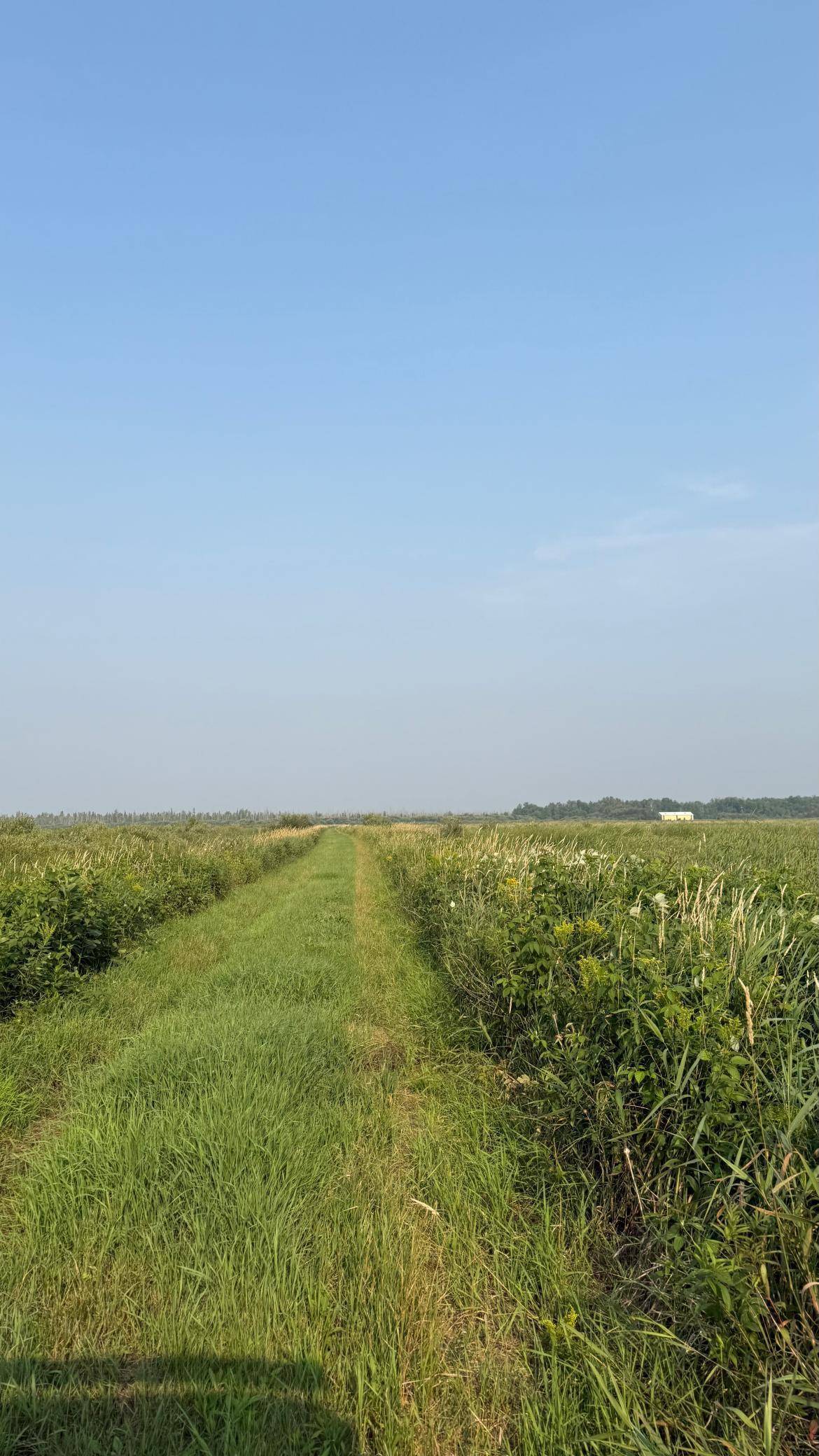 TBD5 Sunflower RD, Kelliher, MN 56650