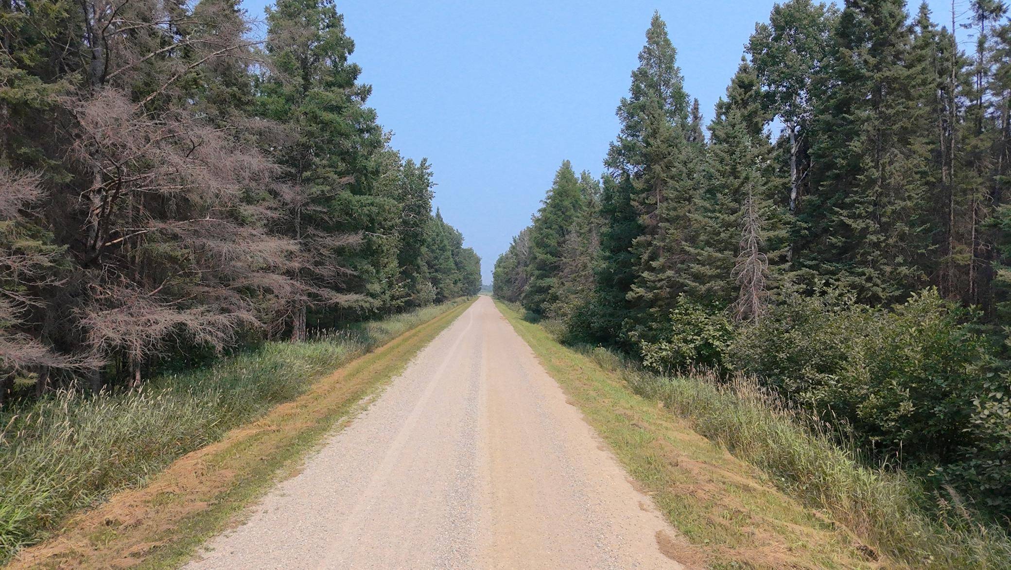 TBD 80 Acres Sunflower RD NE, Kelliher, MN 56650