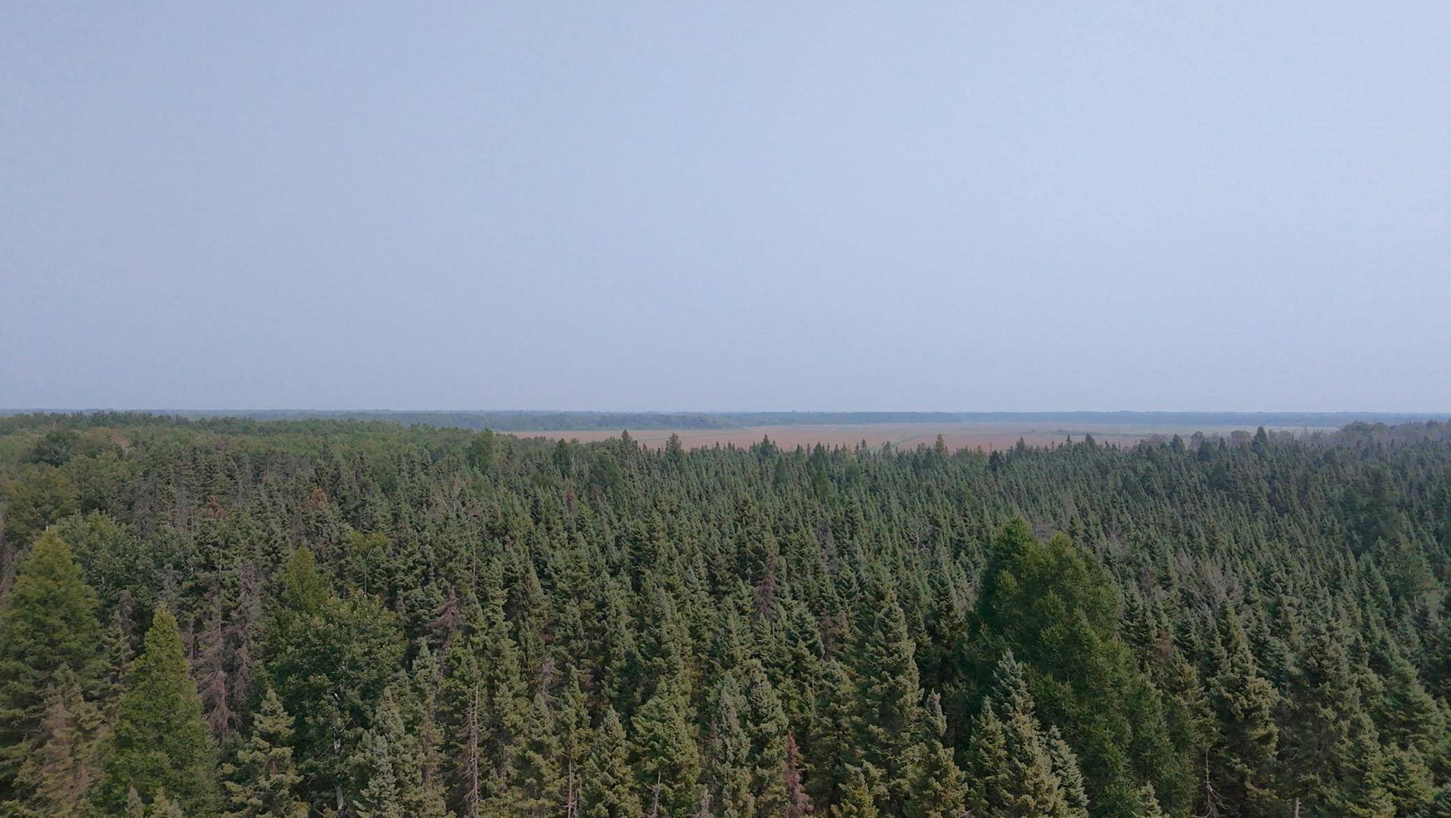 TBD 80 Acres Sunflower RD NE, Kelliher, MN 56650