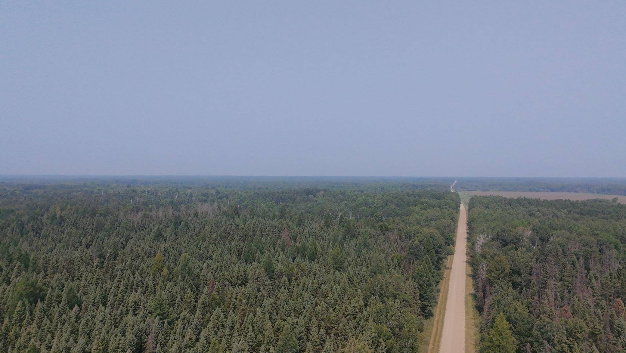 TBD 80 Acres Sunflower RD NE, Kelliher, MN 56650
