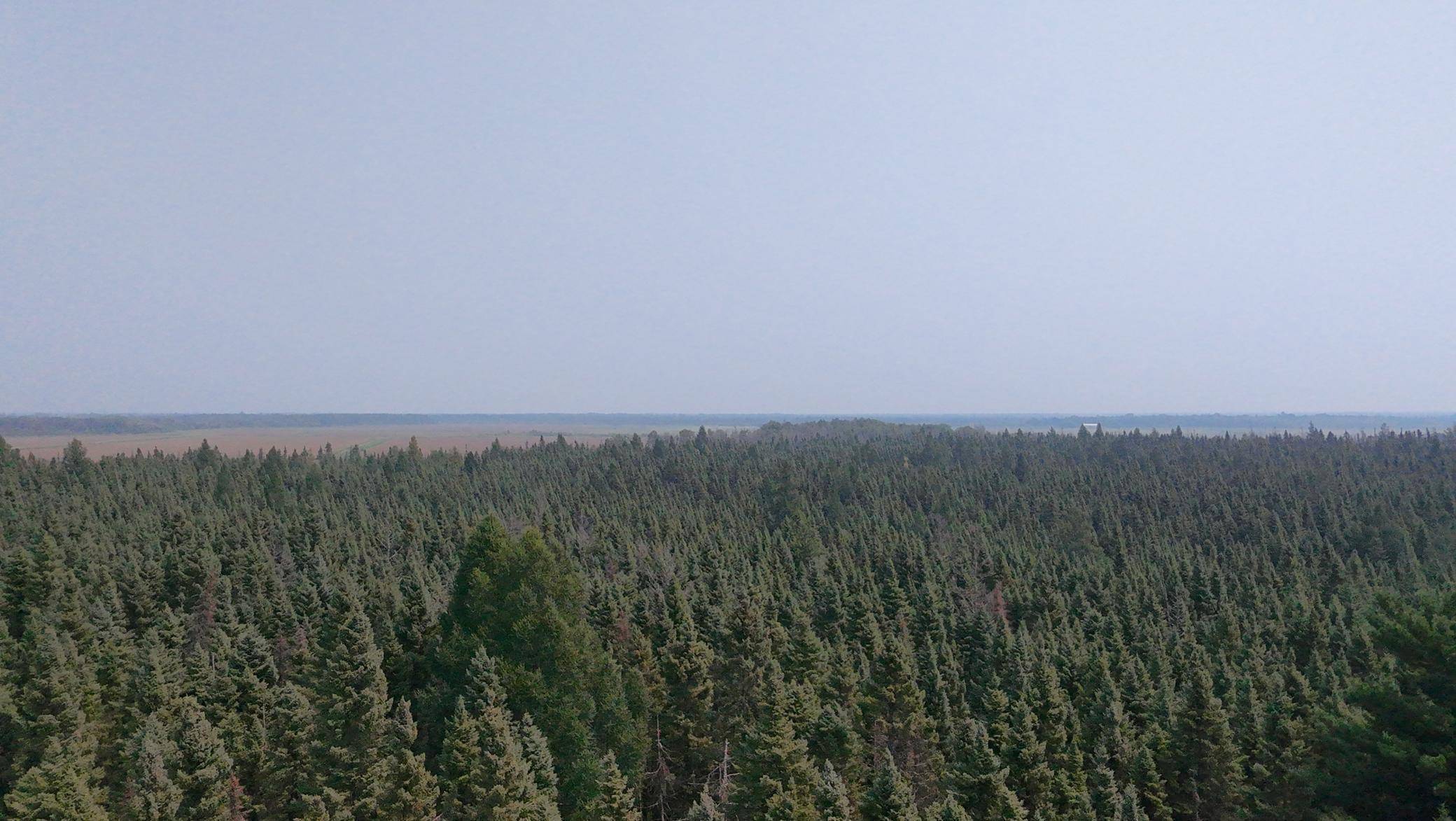 TBD 80 Acres Sunflower RD NE, Kelliher, MN 56650