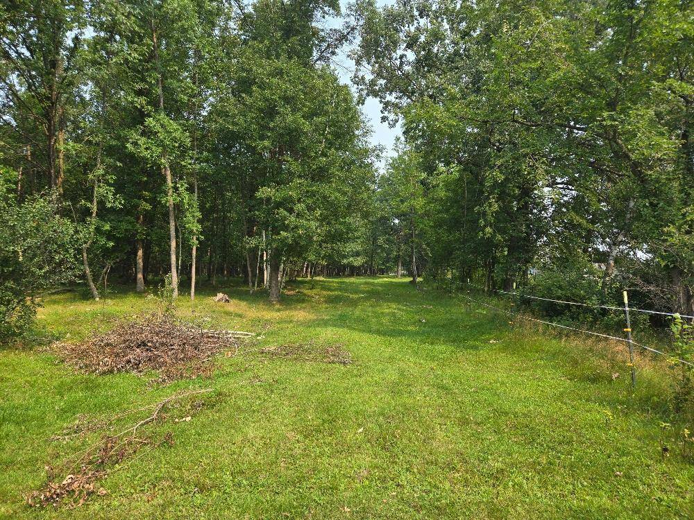 TBD State 87 SW, Backus, MN 56435