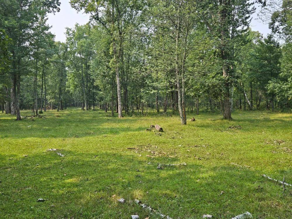 TBD State 87 SW, Backus, MN 56435
