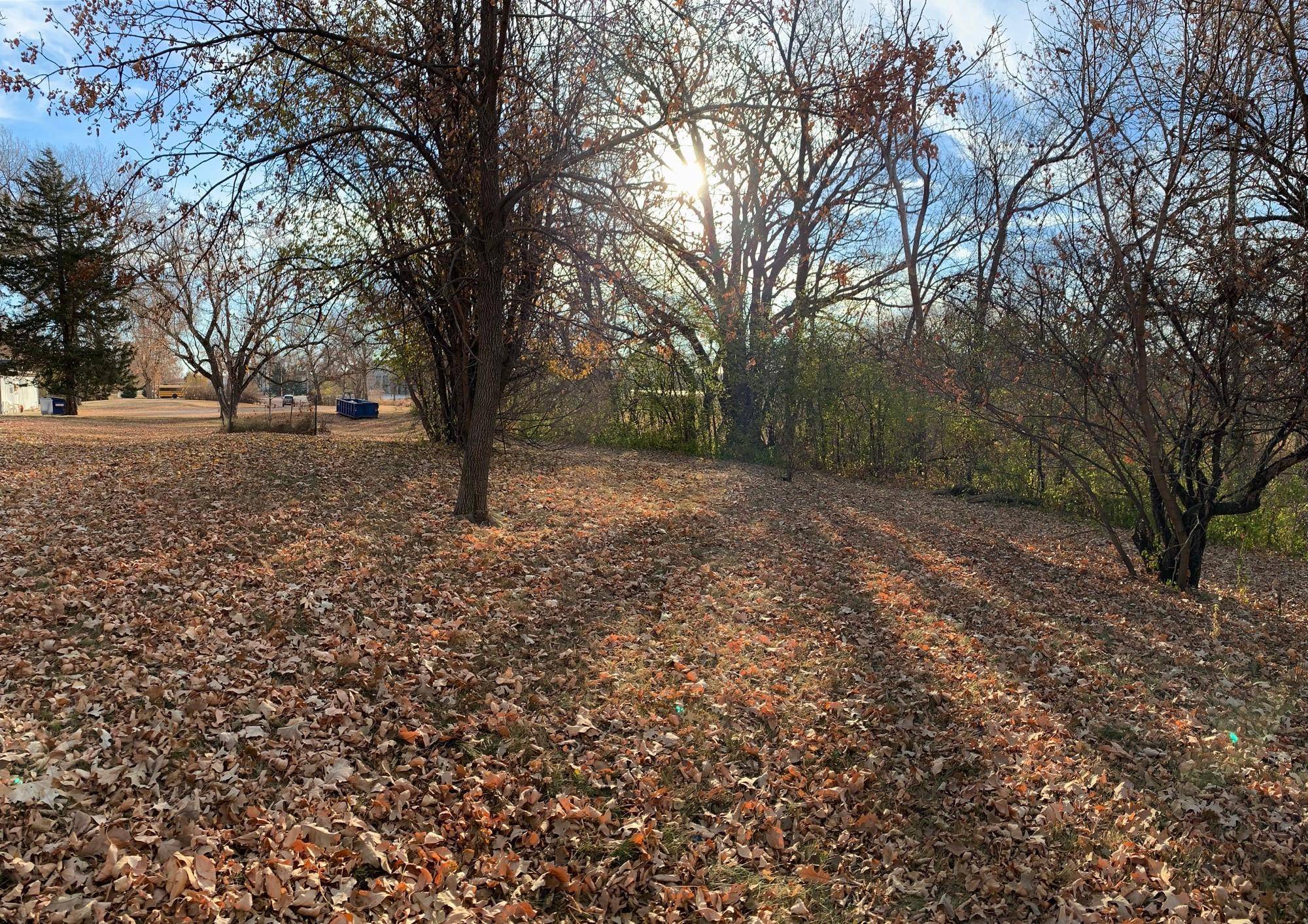 TBD S Ramsey Street, Redwood Falls, MN 56283